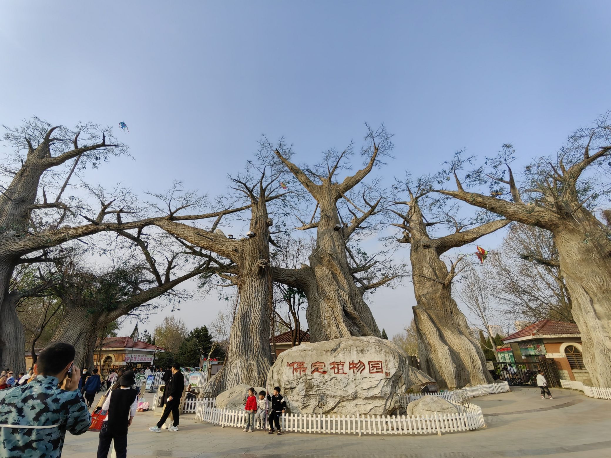 保定植物园旅行图片 1