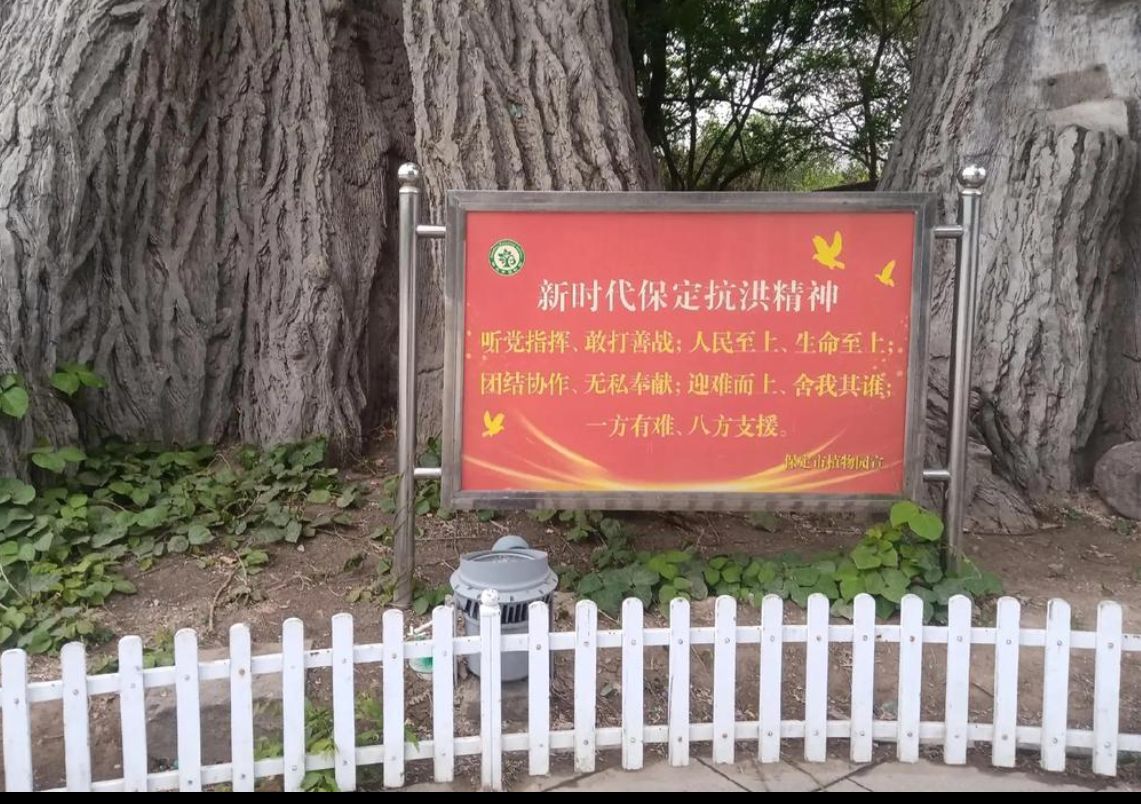 保定植物园旅行图片 3