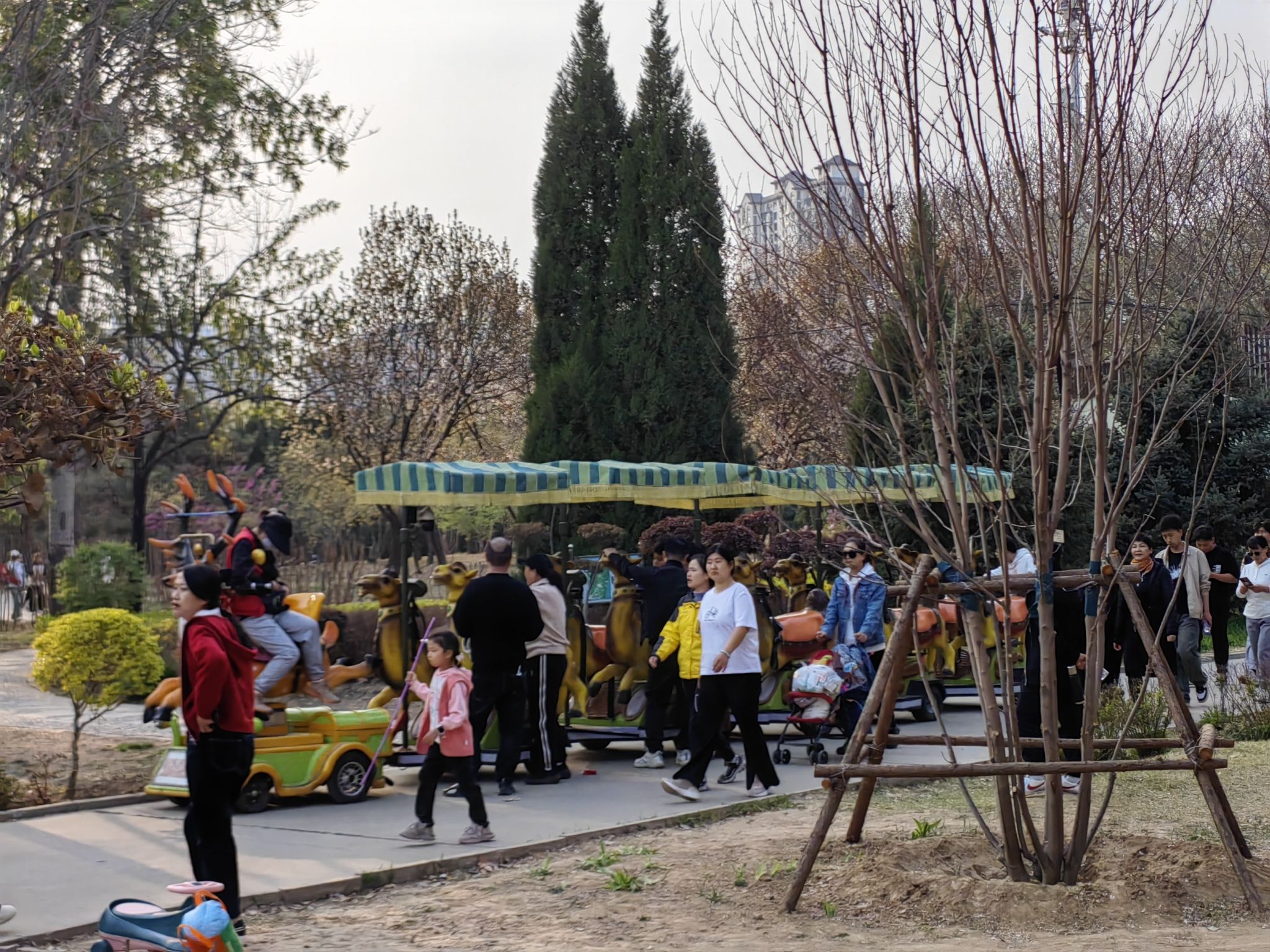 保定植物园旅行图片 2