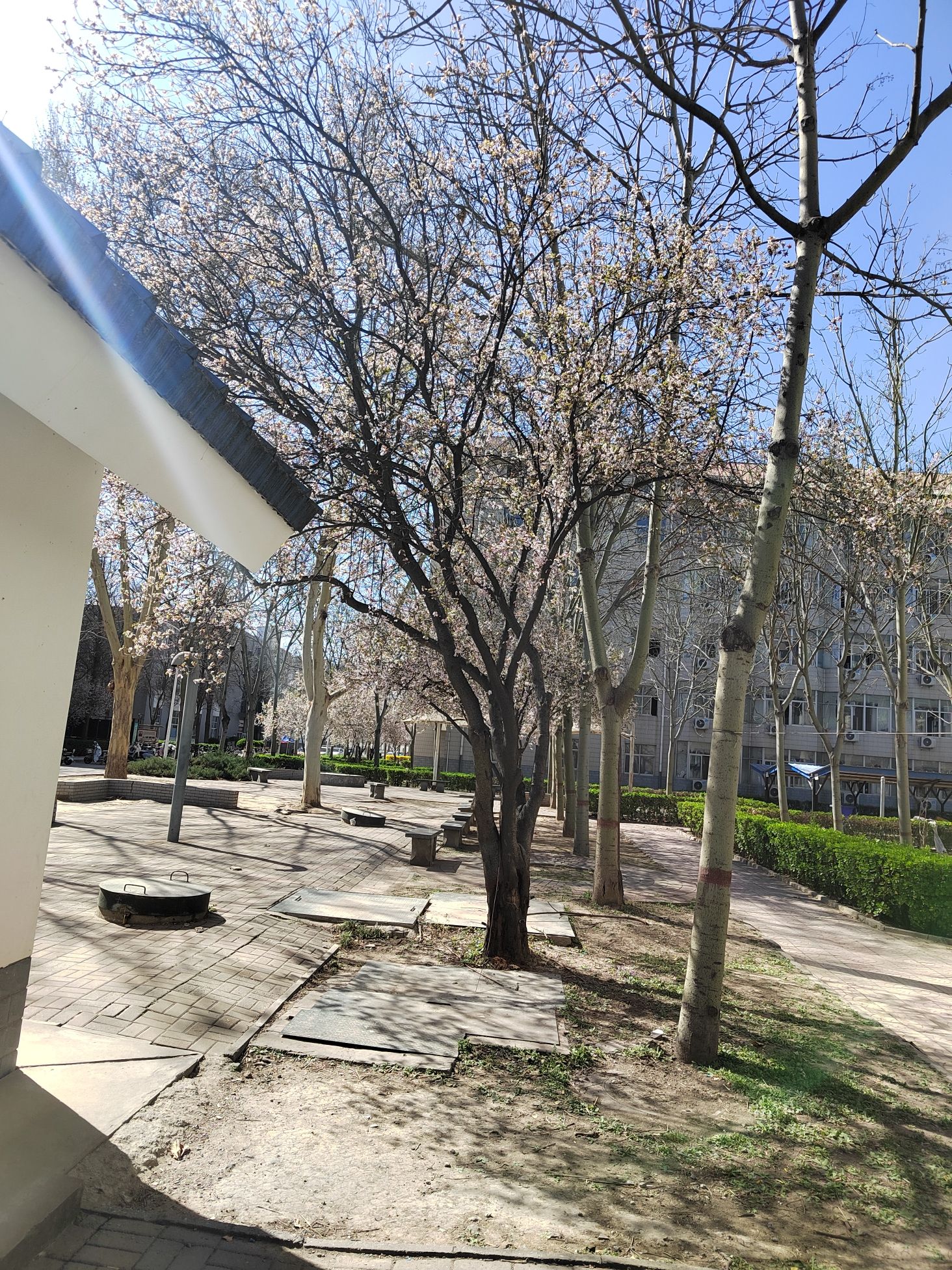 华北电力大学保定二校区