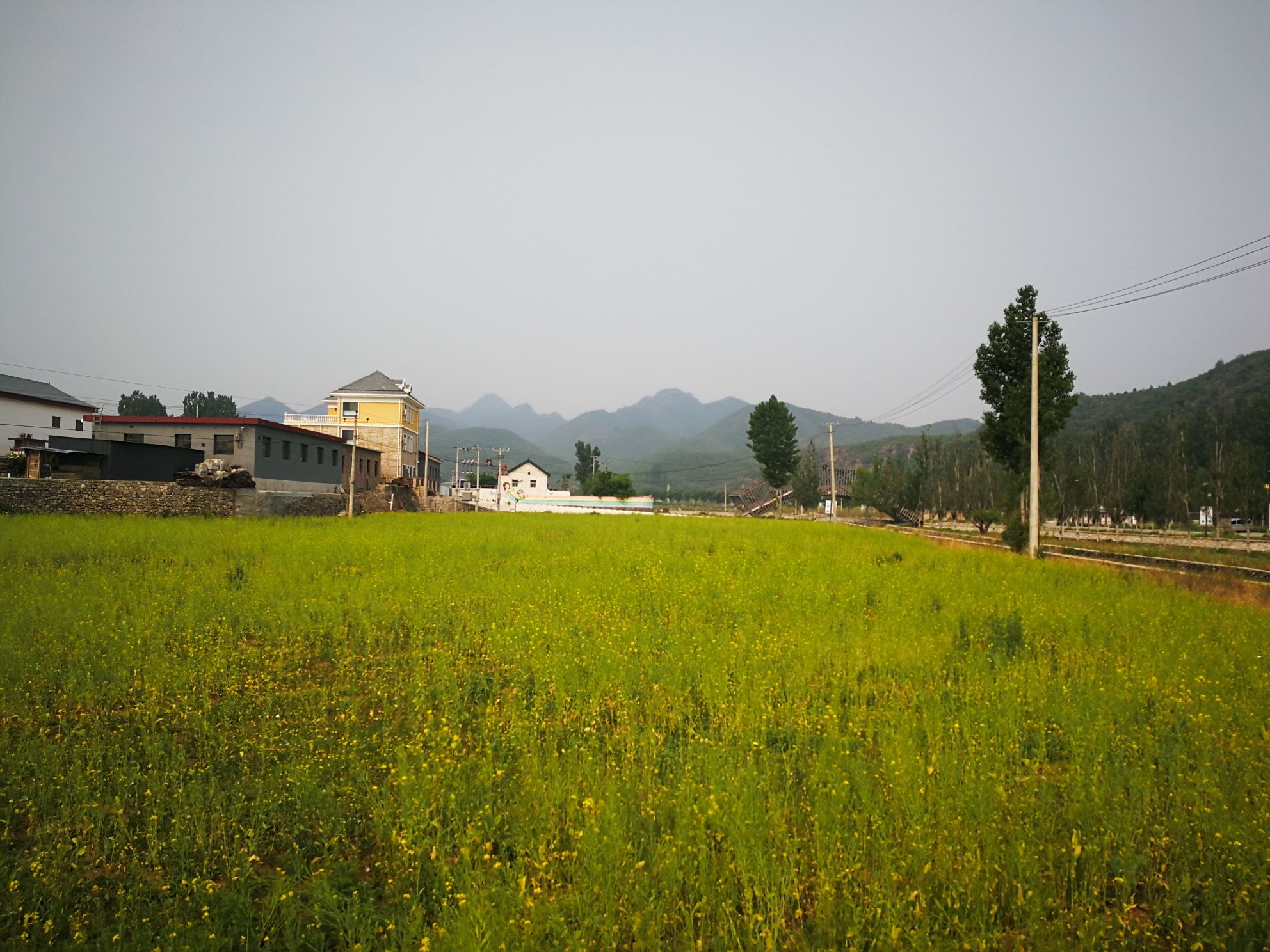 田岗知行村旅行图片 2