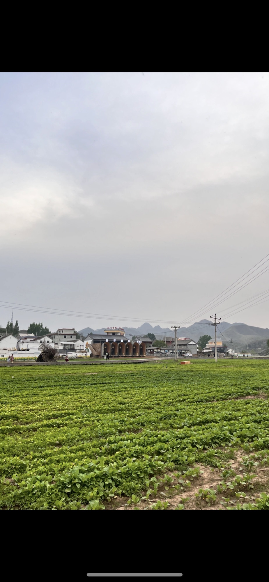 田岗知行村旅行图片 3