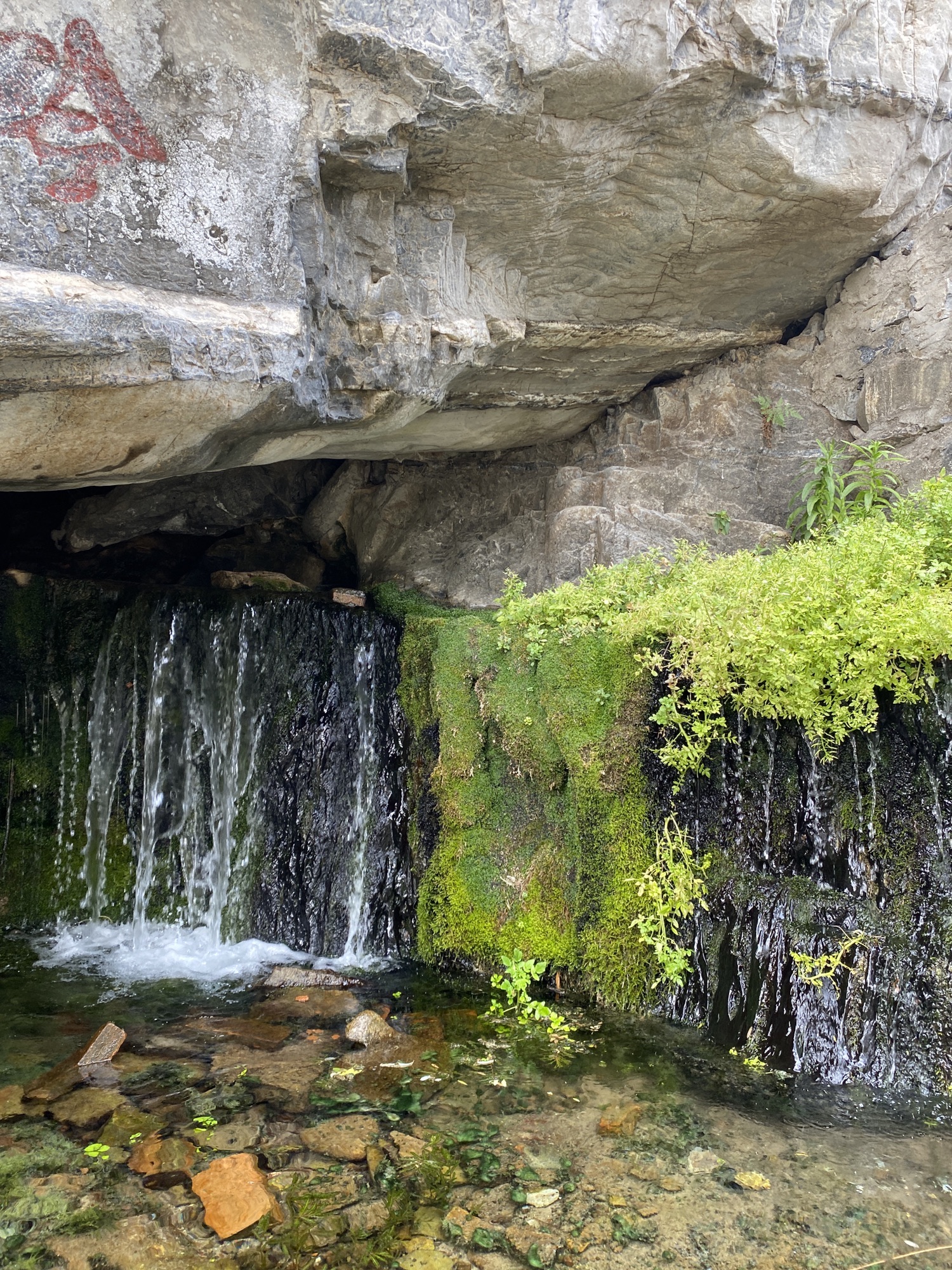 龙潭峡谷风景区旅行图片 2