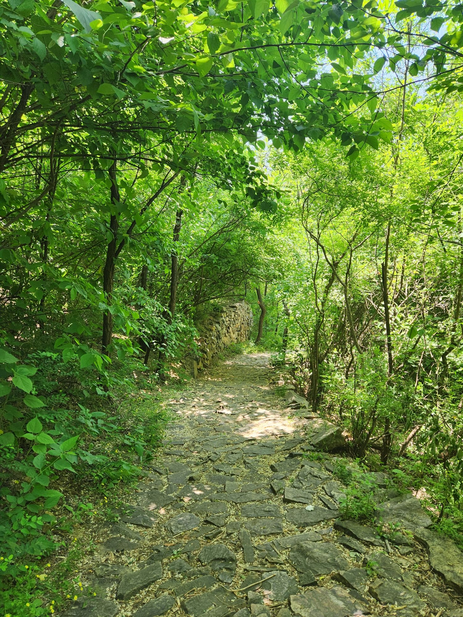 木兰峪旅行图片 1