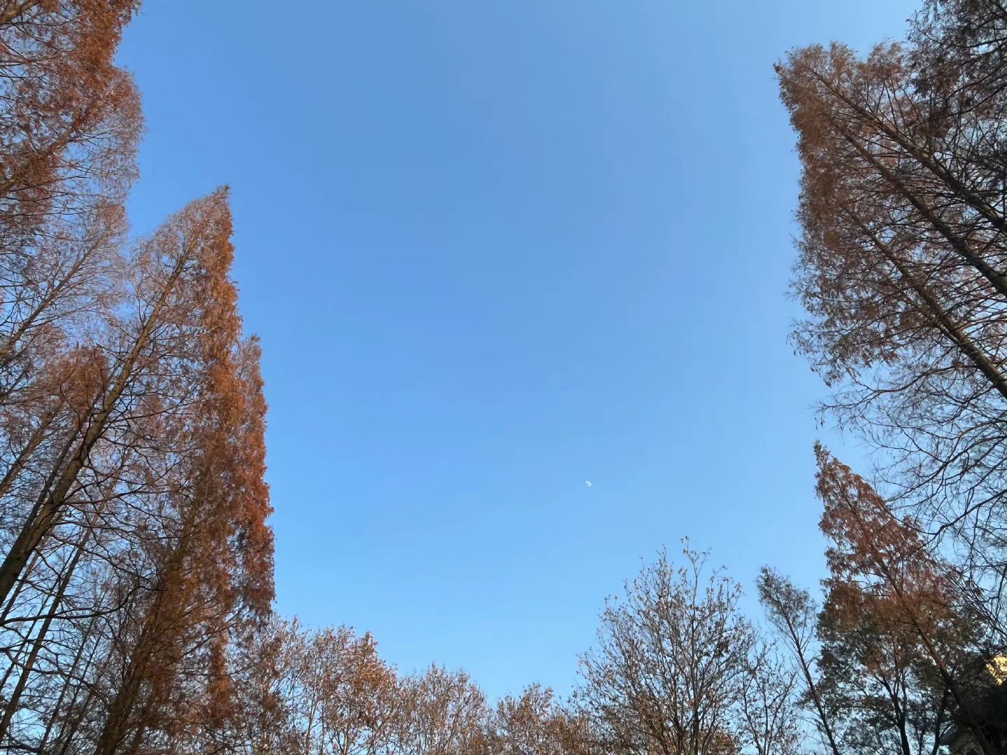 人民广场旅行图片 3