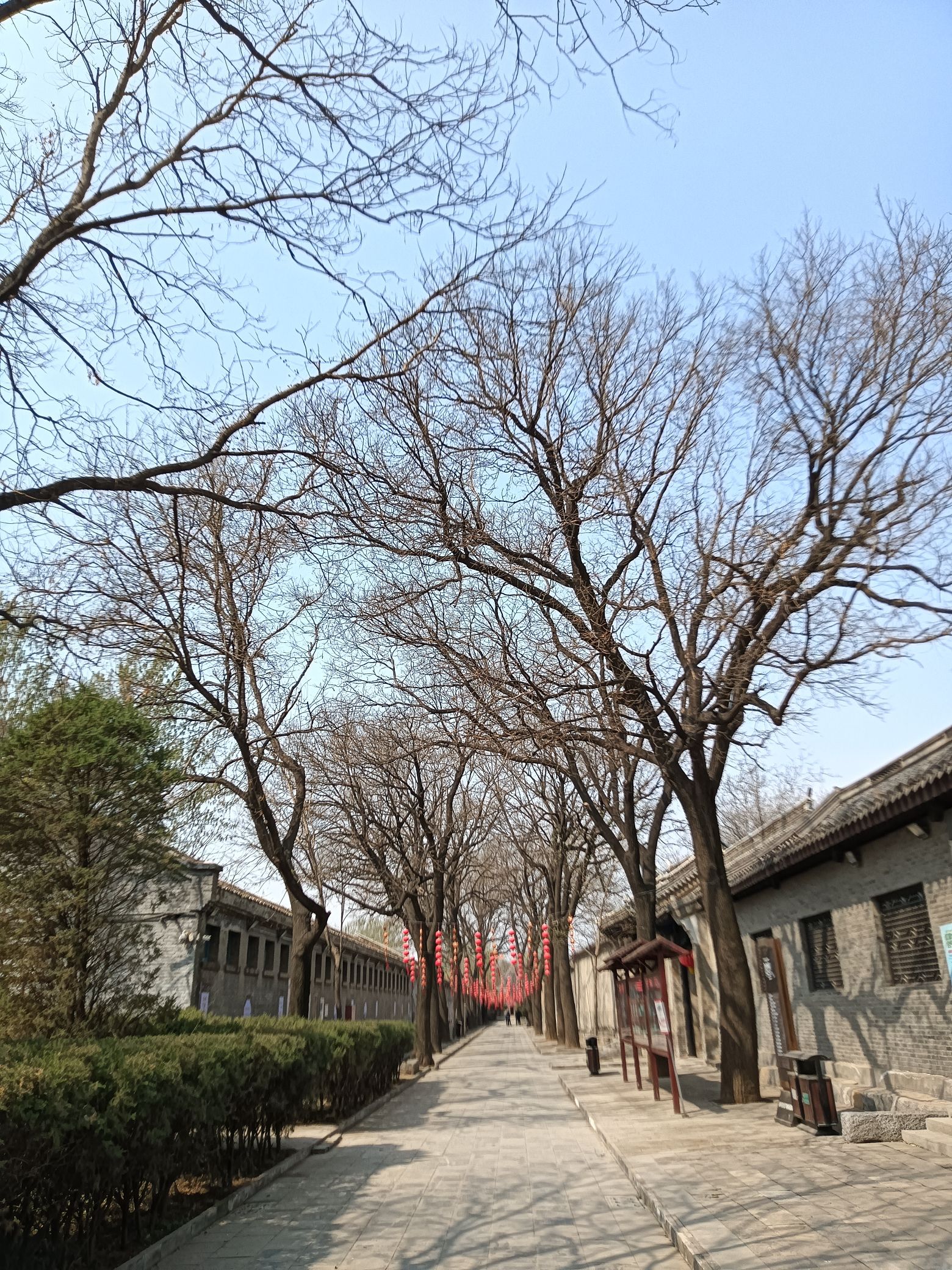 腰山王氏庄园旅行图片 2