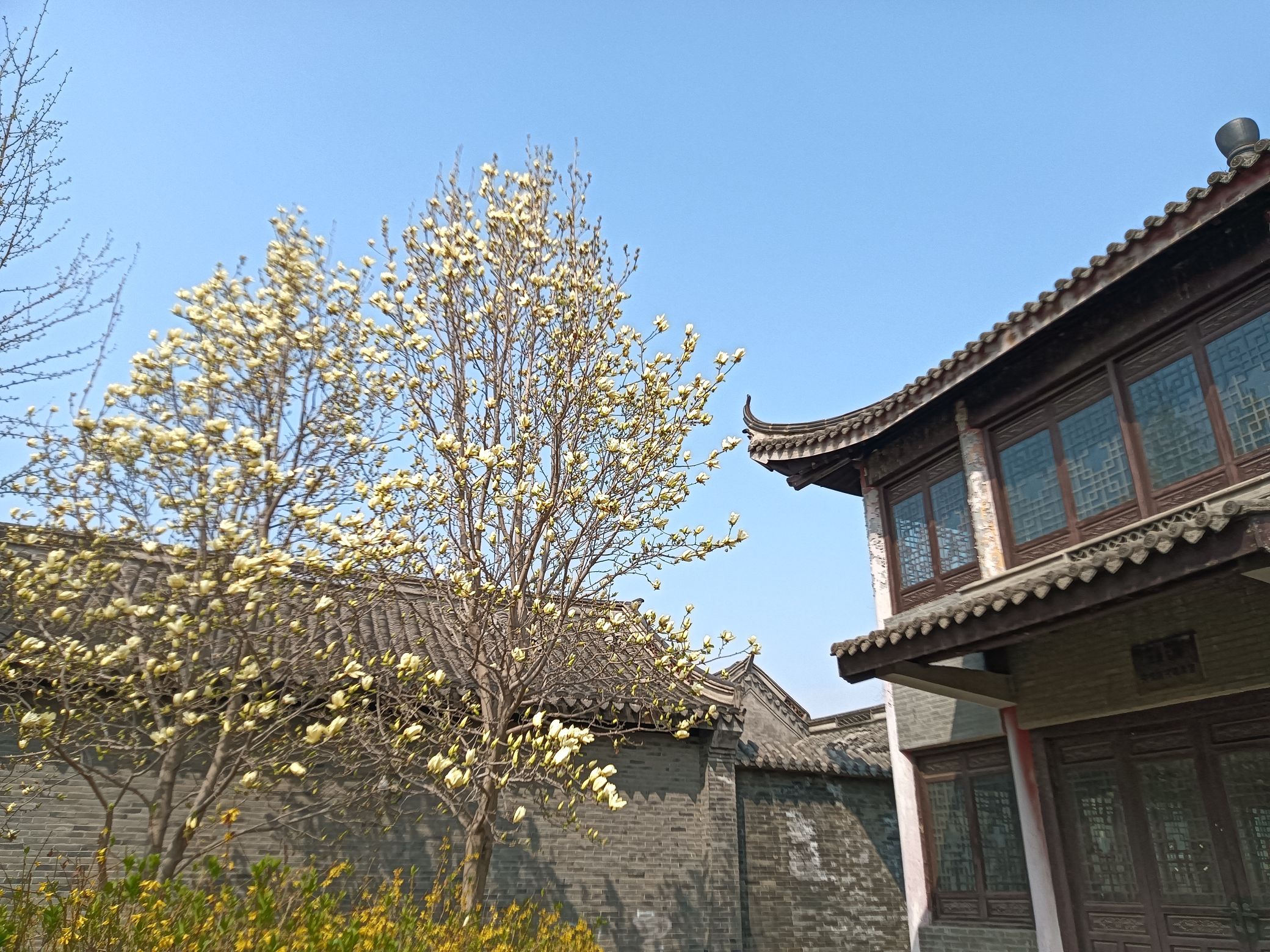 腰山王氏庄园旅行图片 3