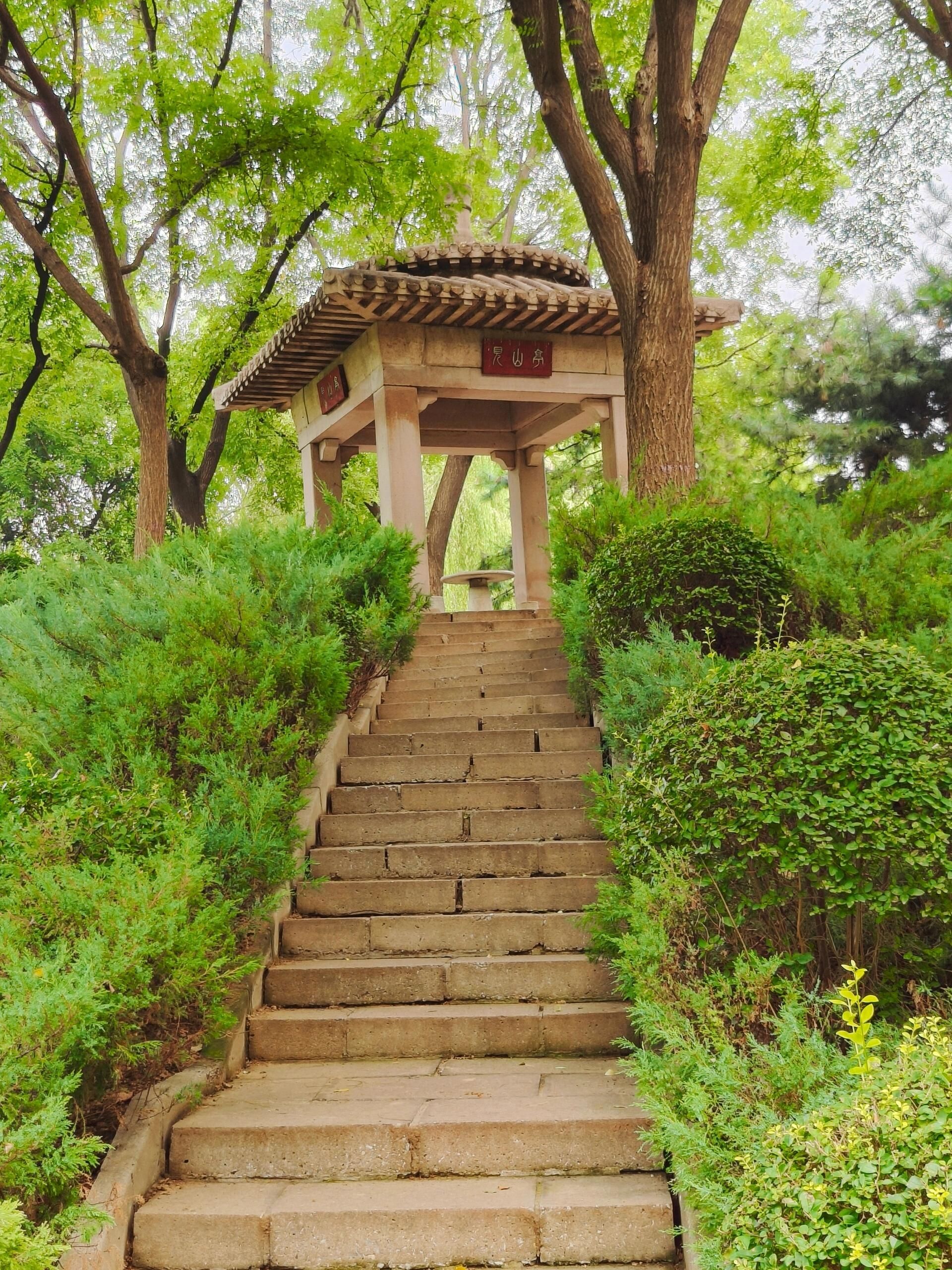定州市中山公园旅行图片 2