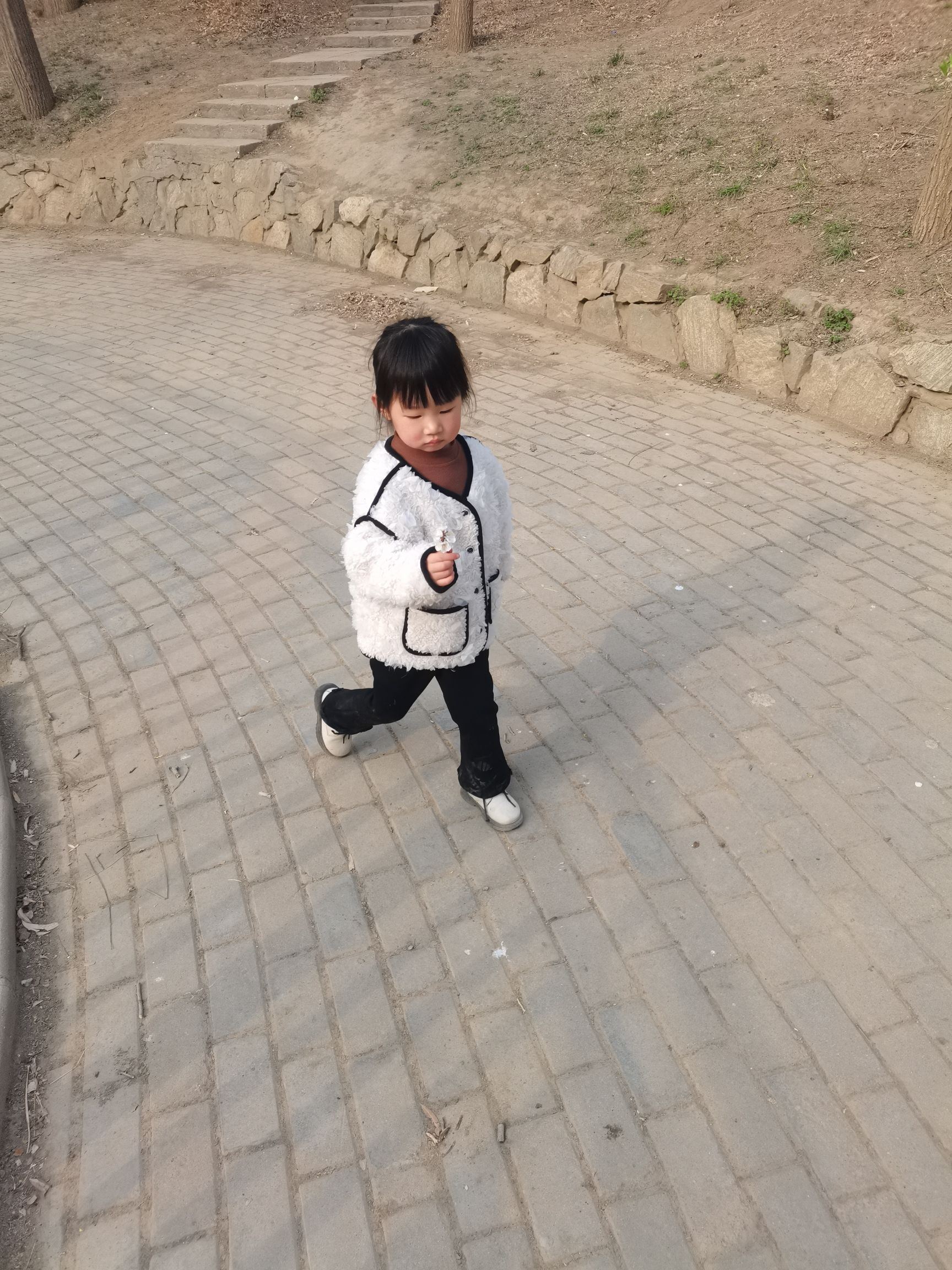 药都公园旅行图片 1