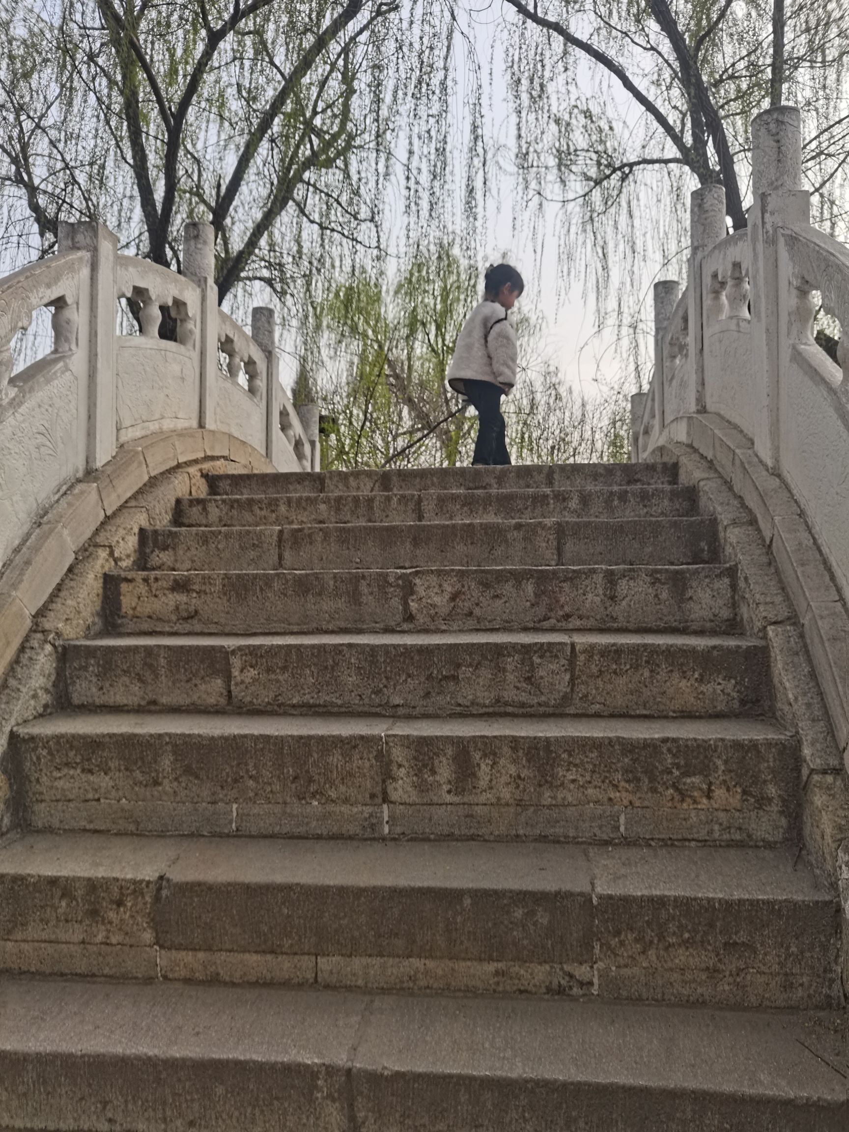 药都公园旅行图片 2