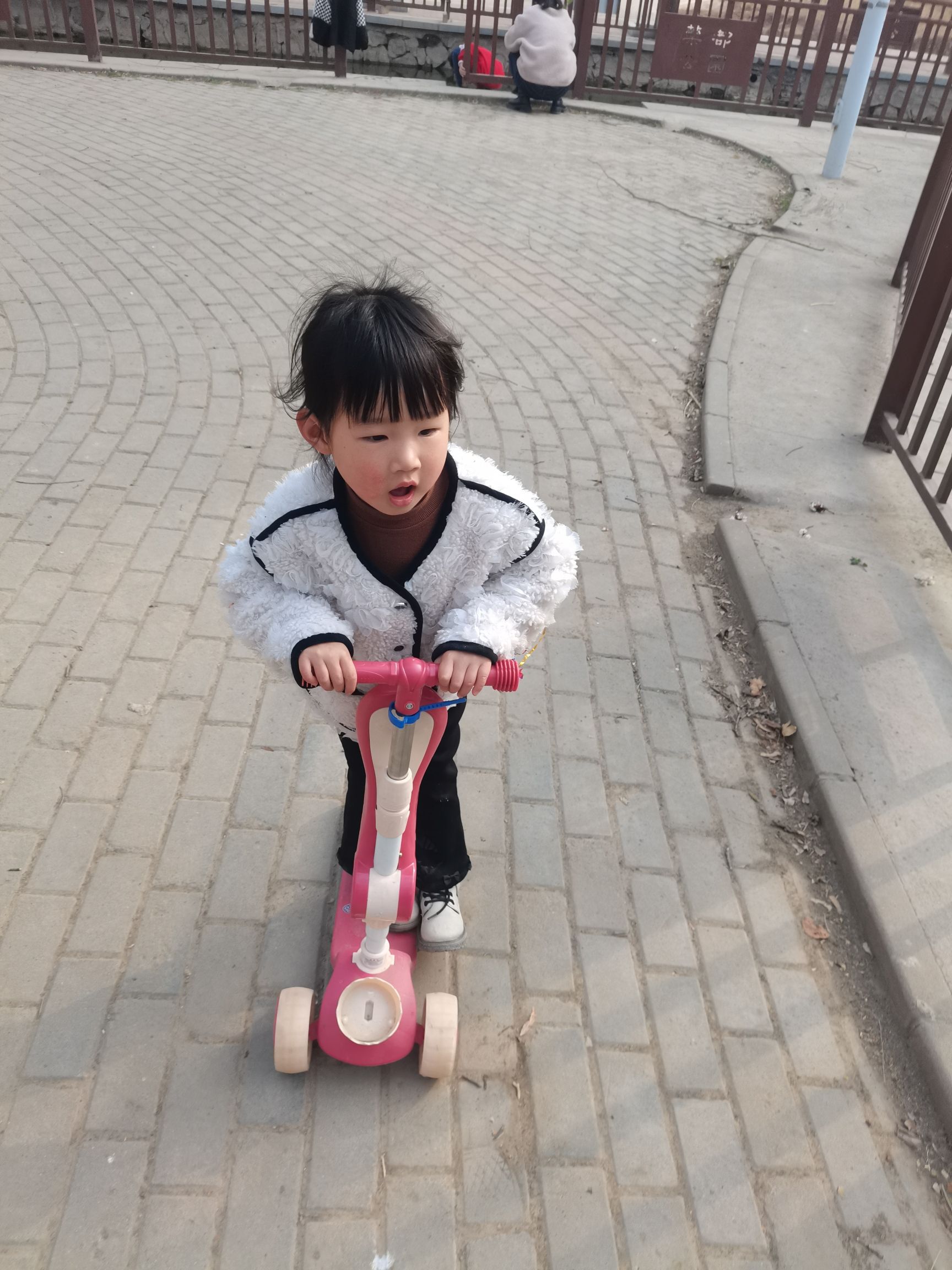 药都公园旅行图片 3