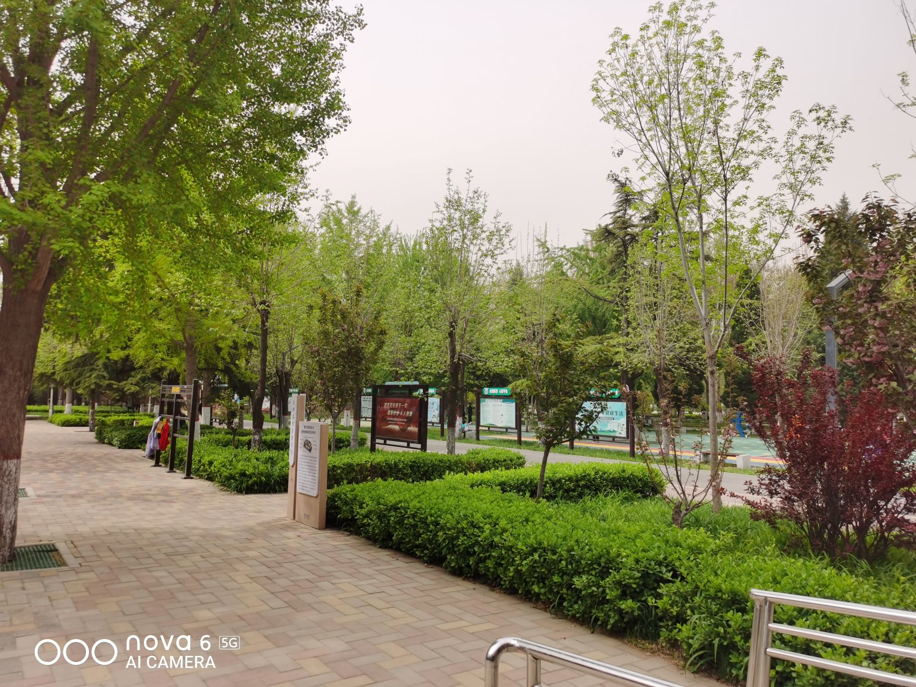高碑店市世纪广场旅行图片 1