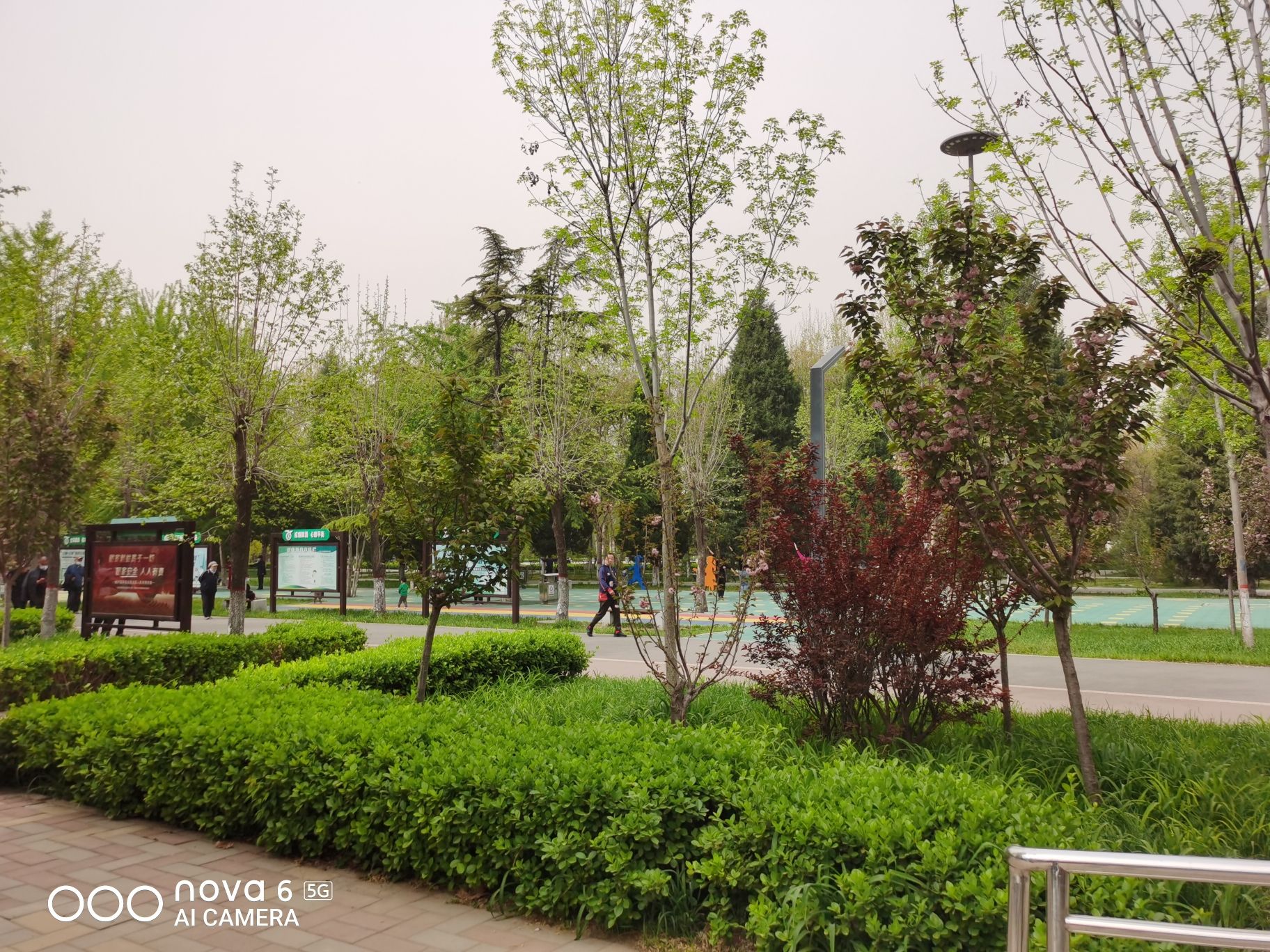 高碑店市世纪广场旅行图片 3
