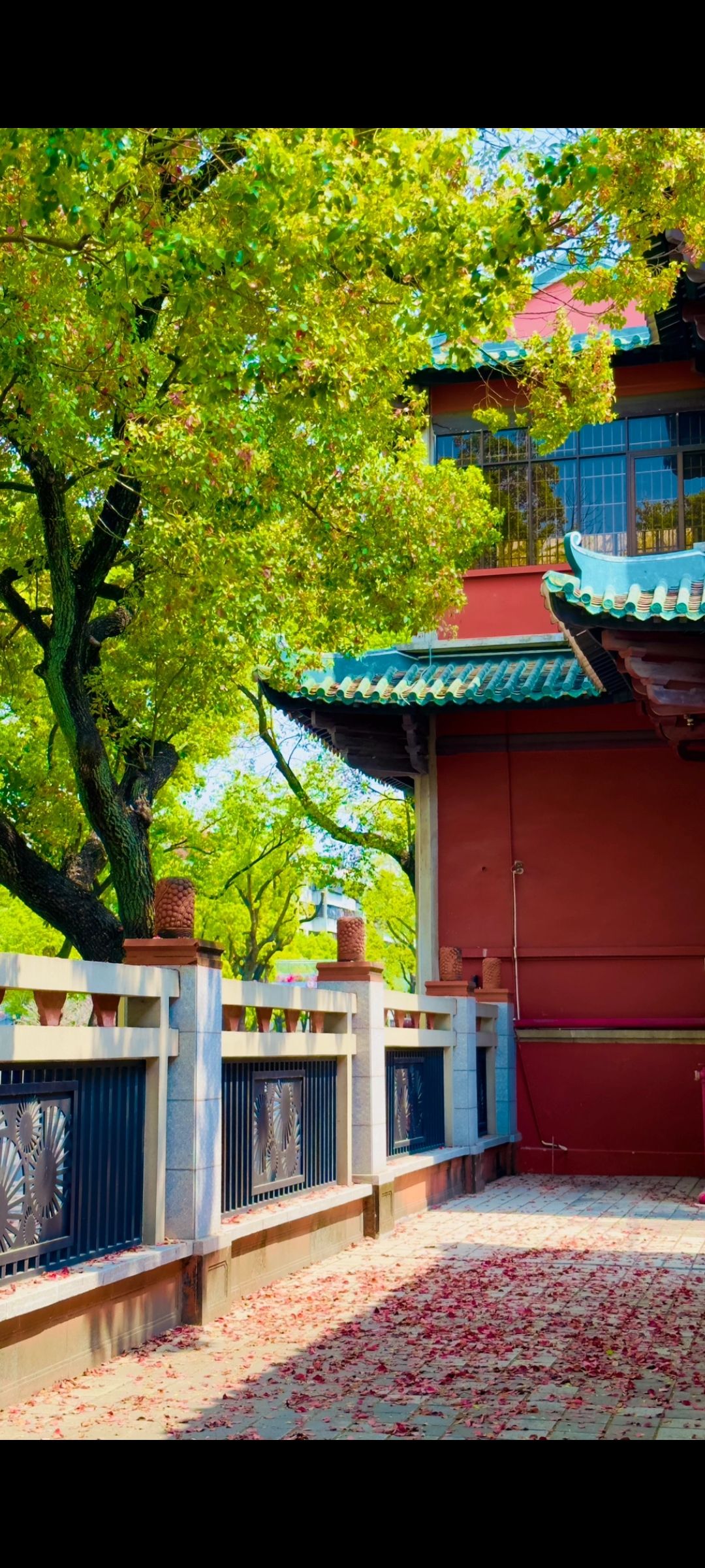 涿州学宫旅行图片 2