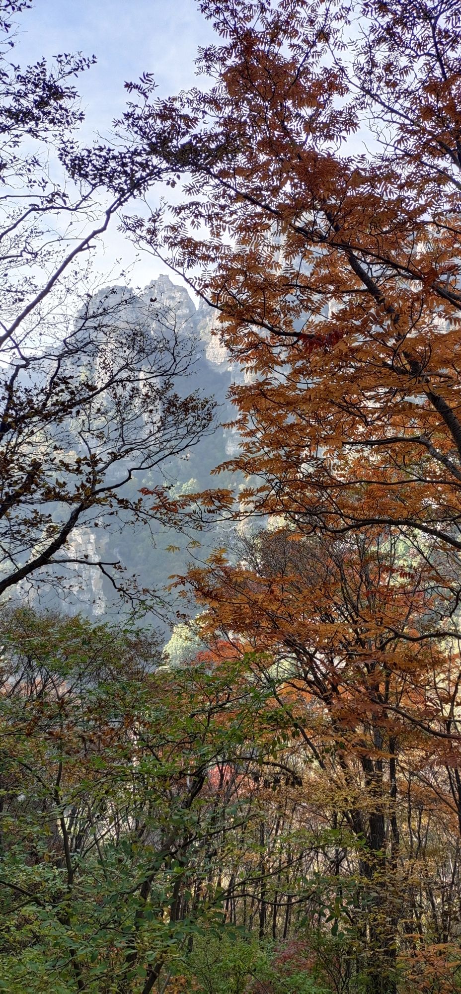 白石山国家地质公园旅行图片 2