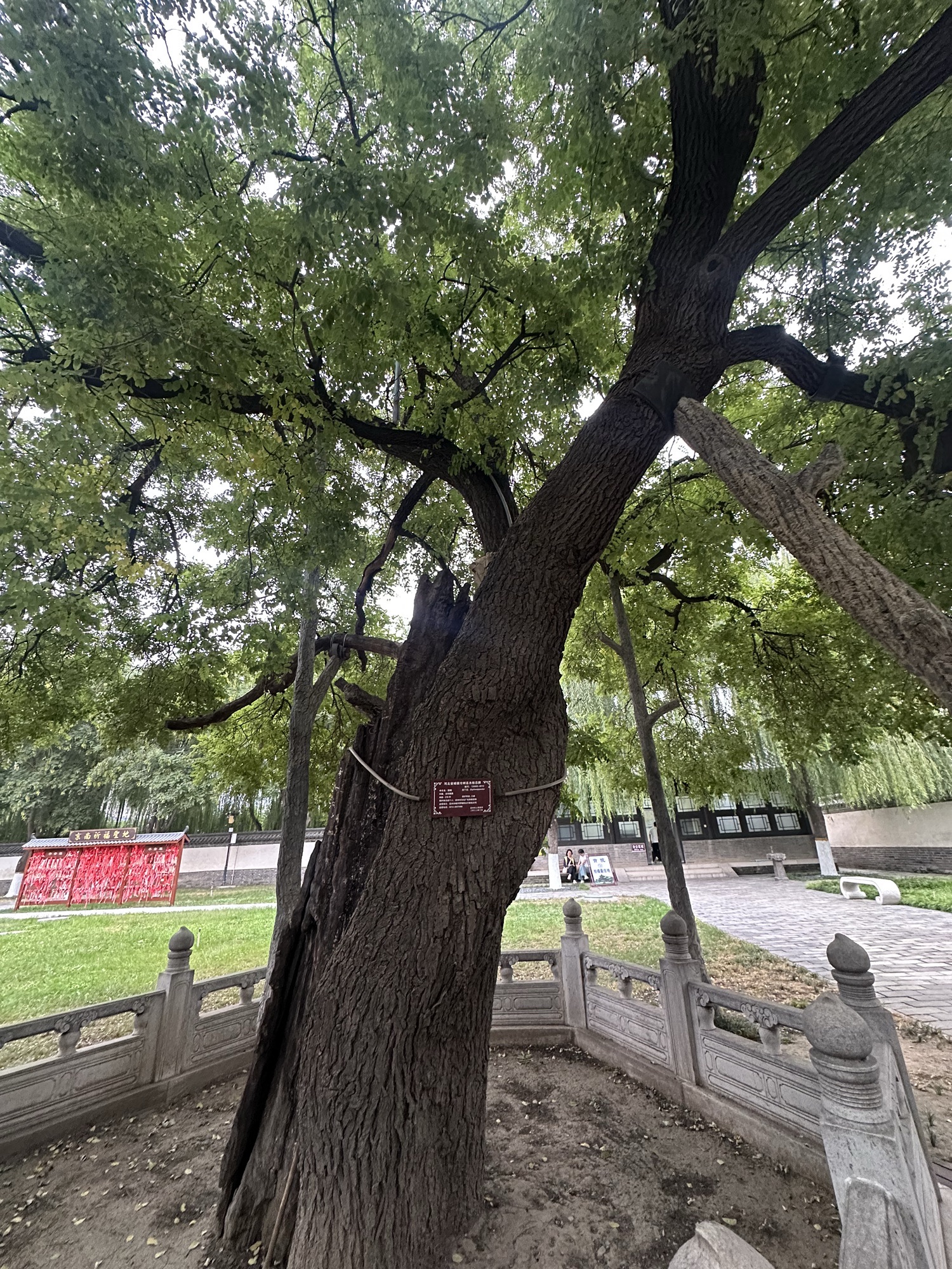 定州贡院旅行图片 3