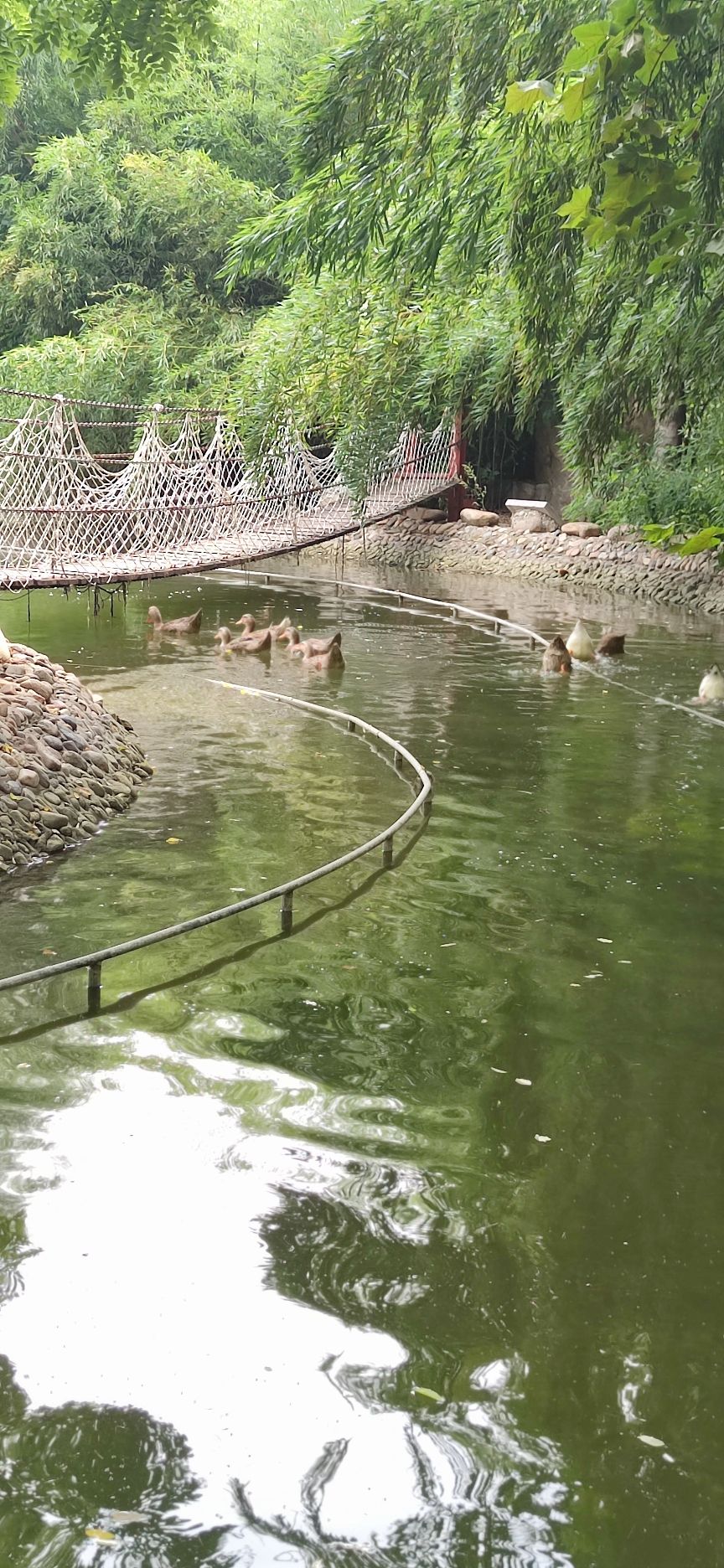 定州市黄家葡萄酒庄旅行图片 2