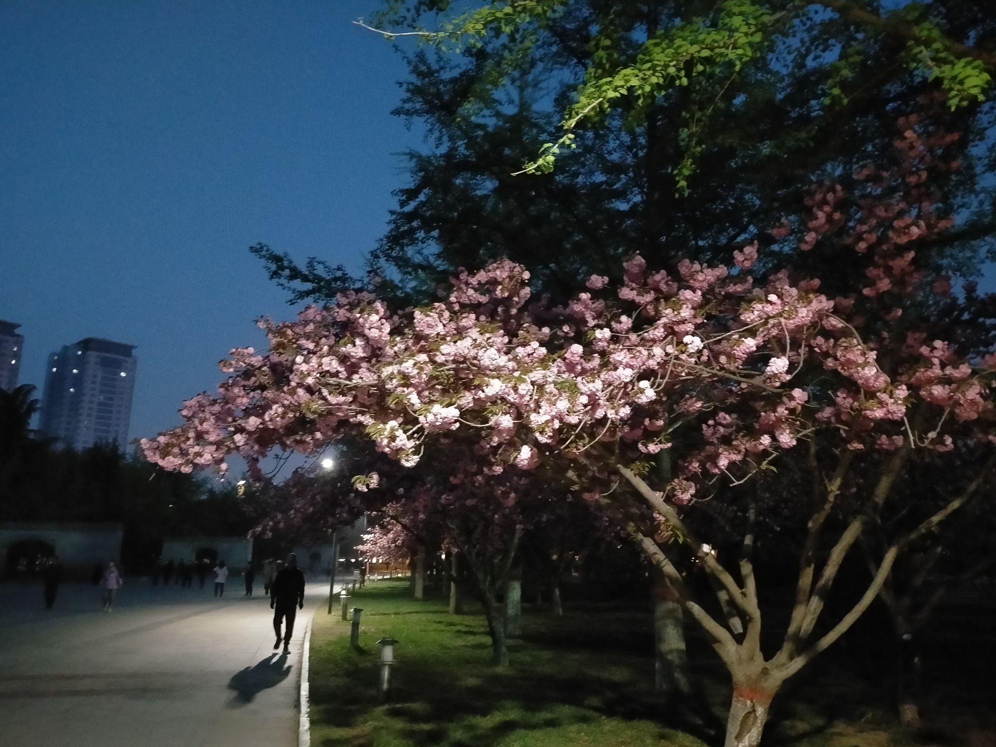 保定军校公园旅行图片 1