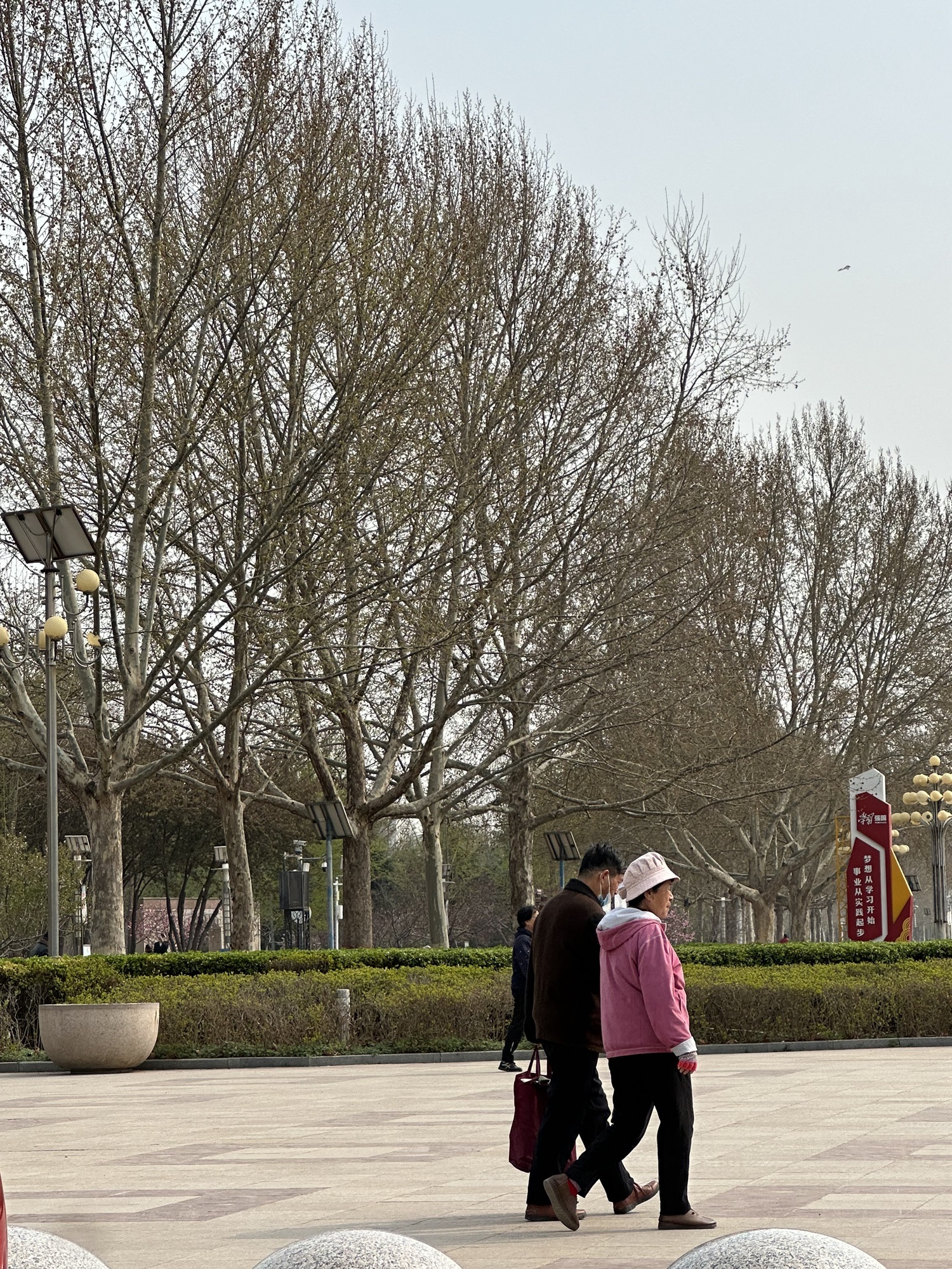 保定军校公园旅行图片 3