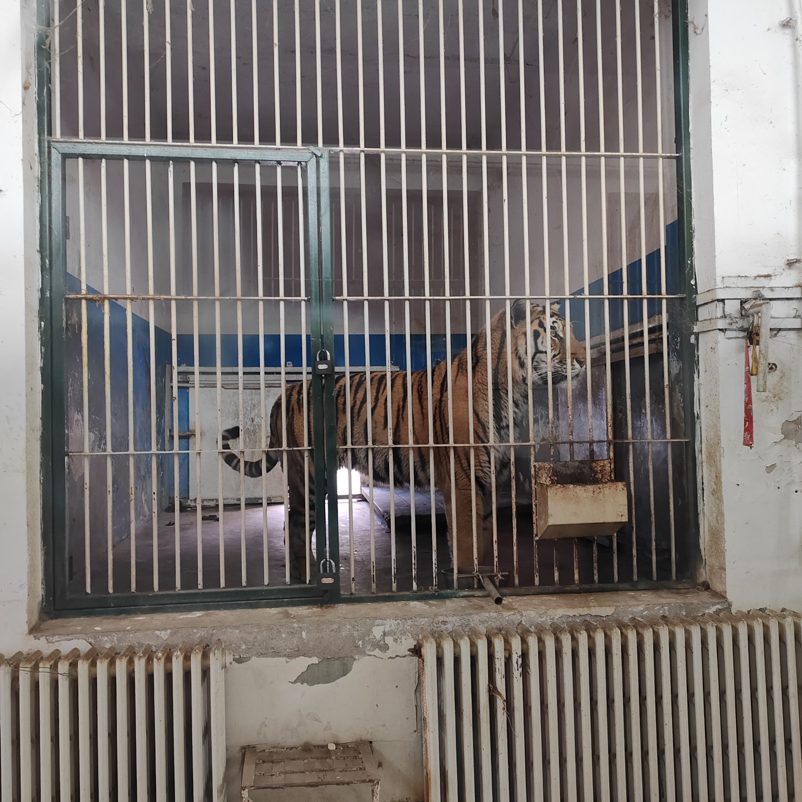 保定市动物园旅行图片 2