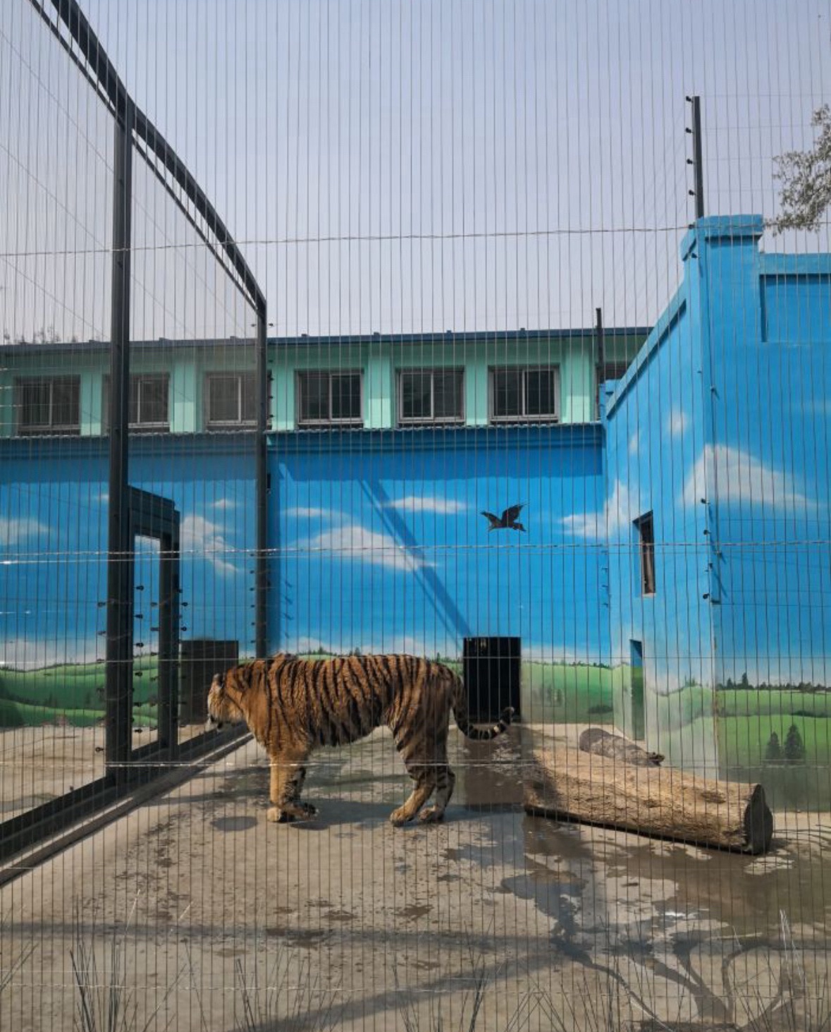 保定市动物园旅行图片 2