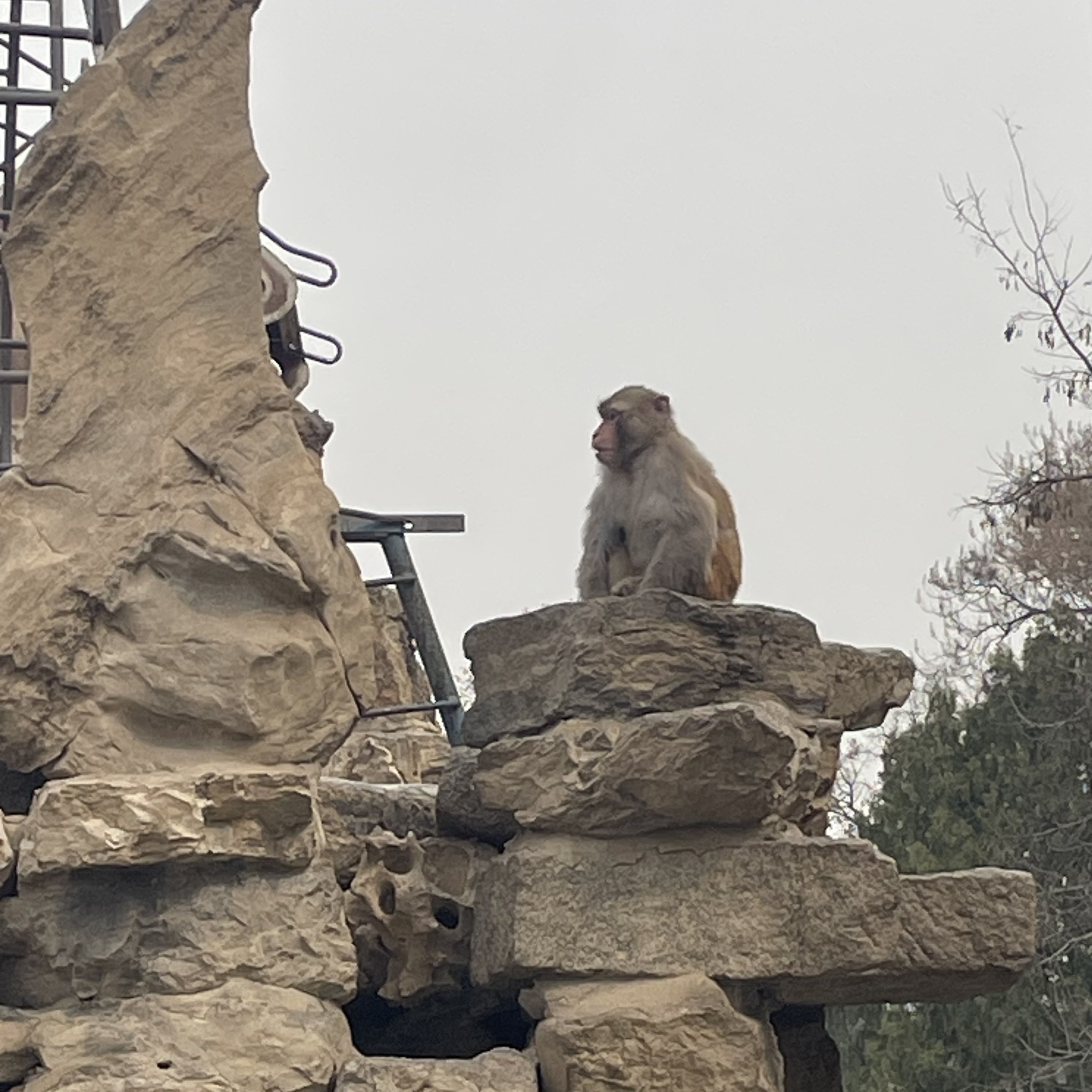 保定市动物园旅行图片 3