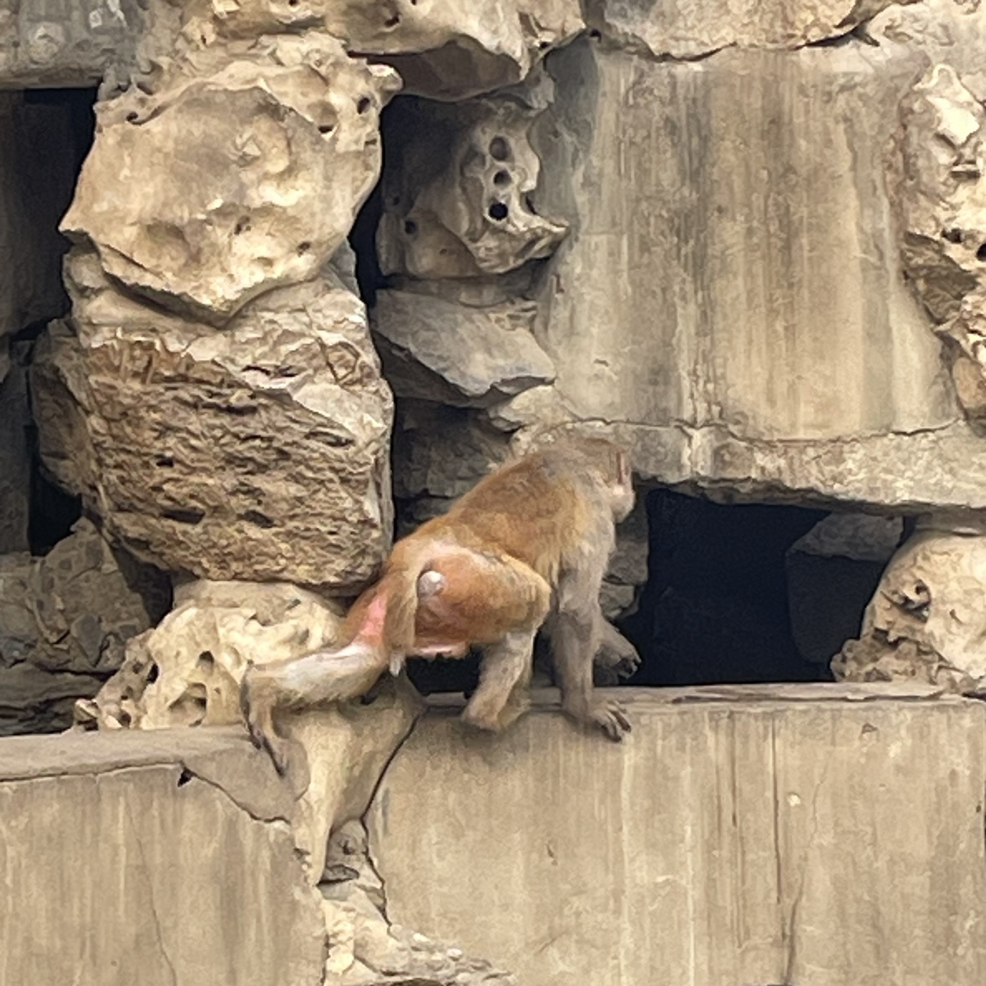 保定市动物园旅行图片 2