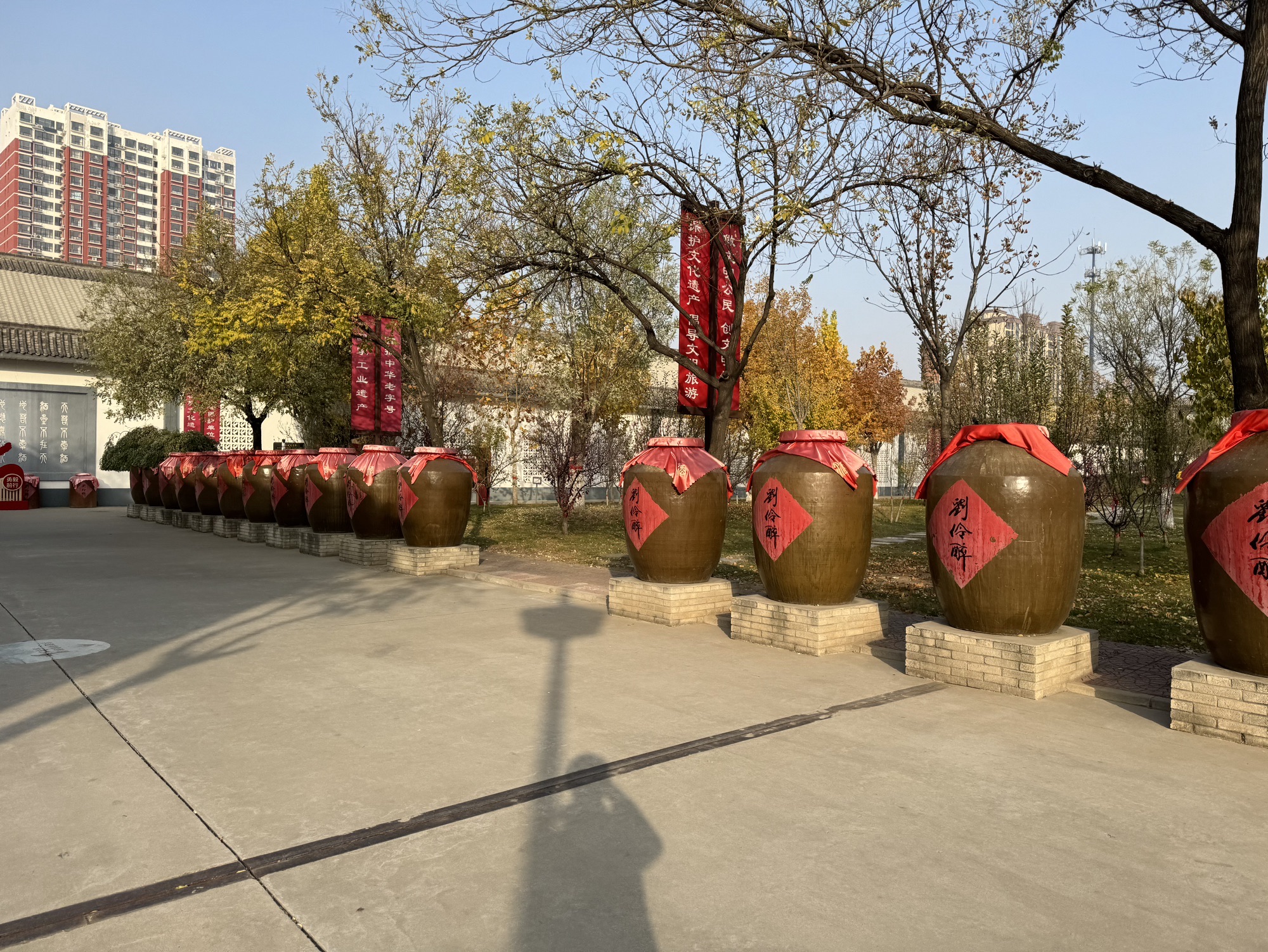 刘伶醉景区古烧锅遗址旅行图片 3