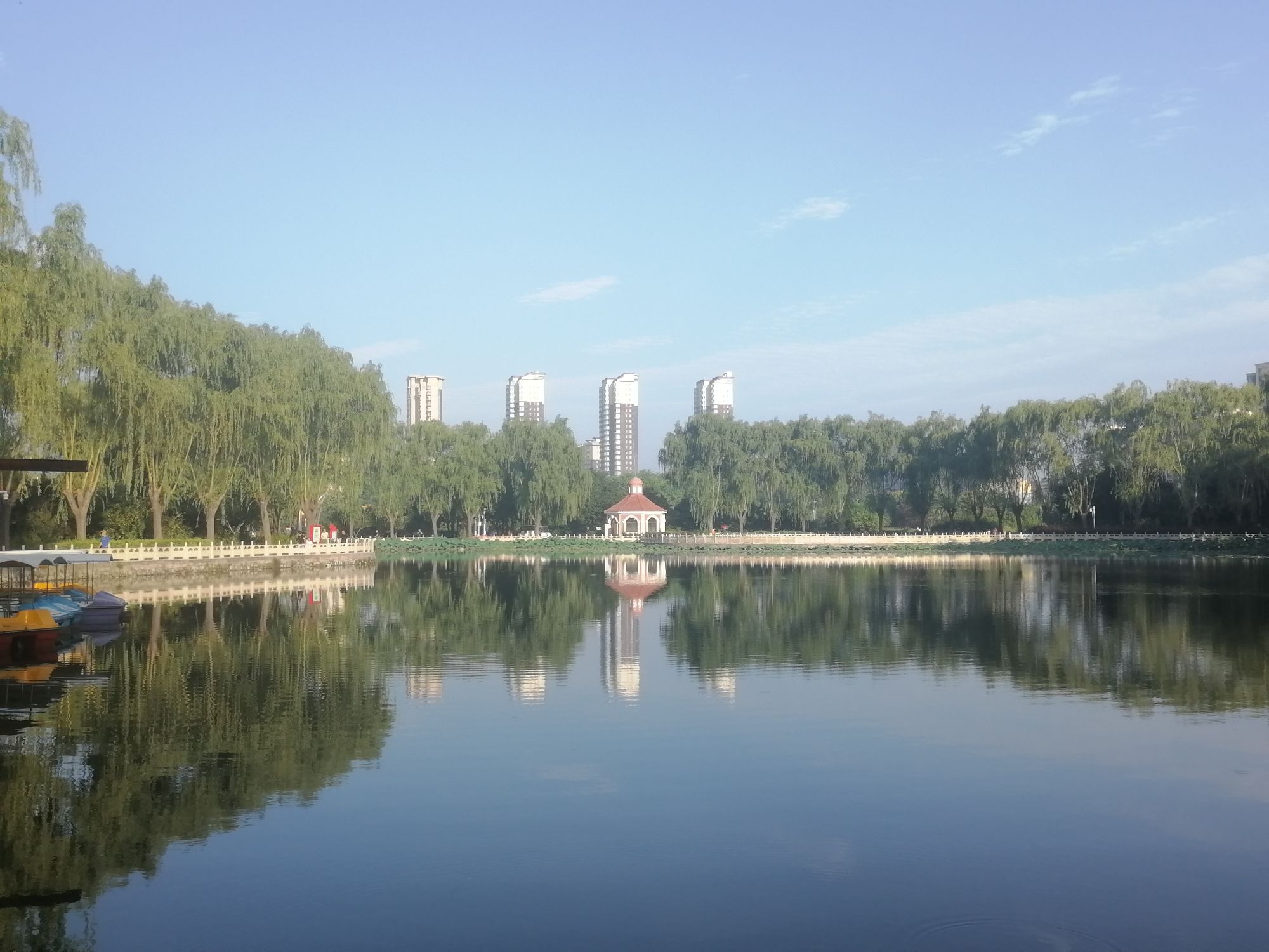 高碑店市植物公园旅行图片 2