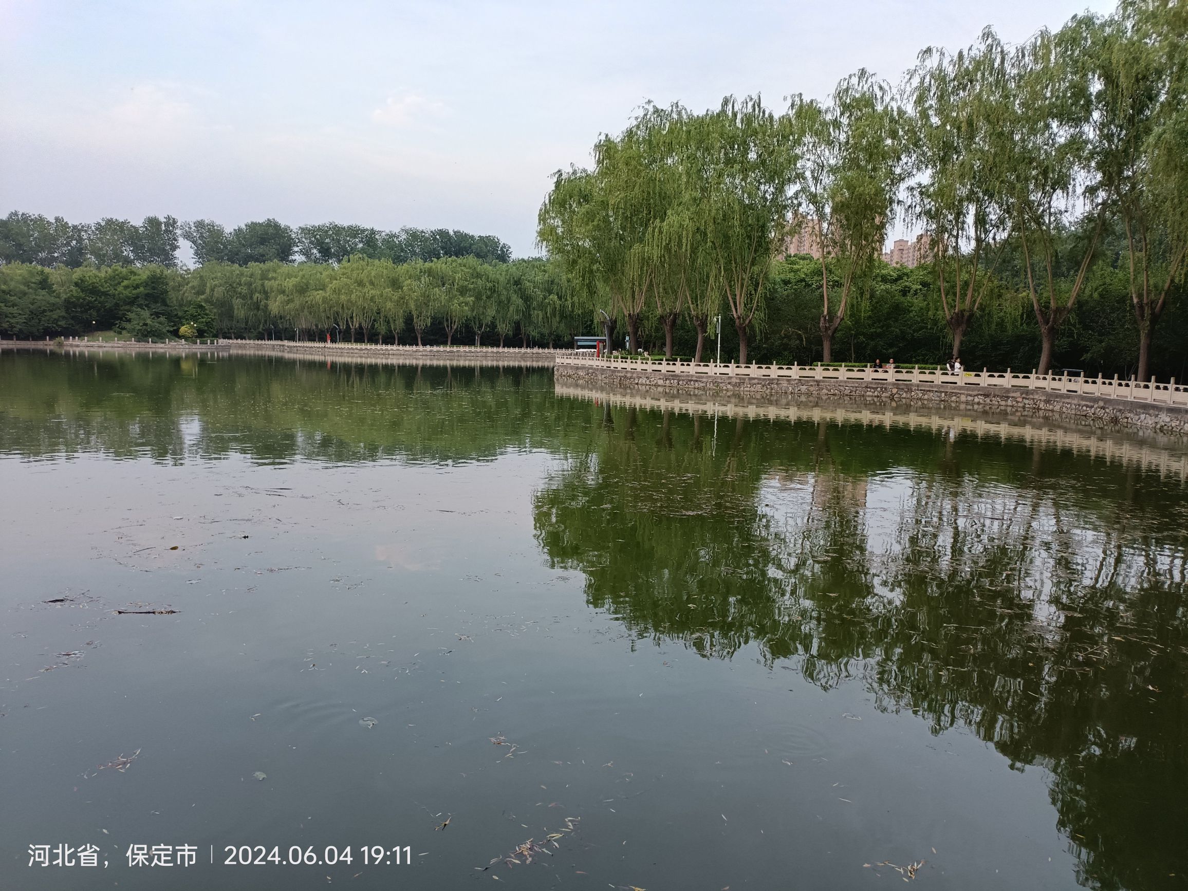 高碑店市植物公园旅行图片 3