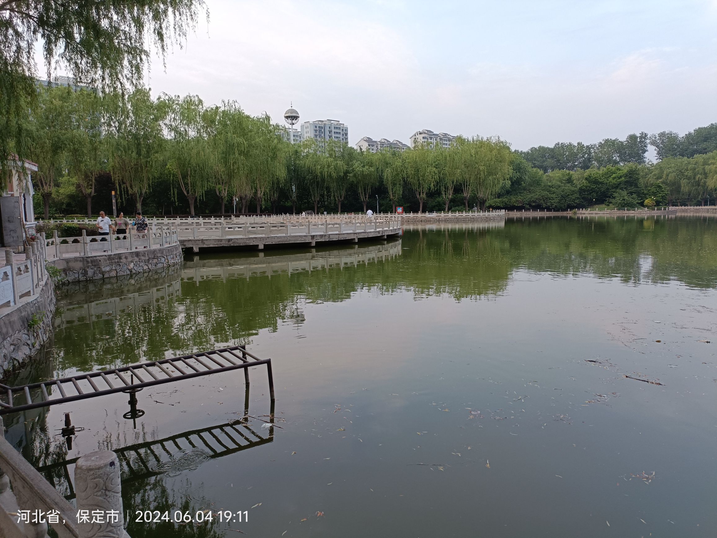 高碑店市植物公园旅行图片 2