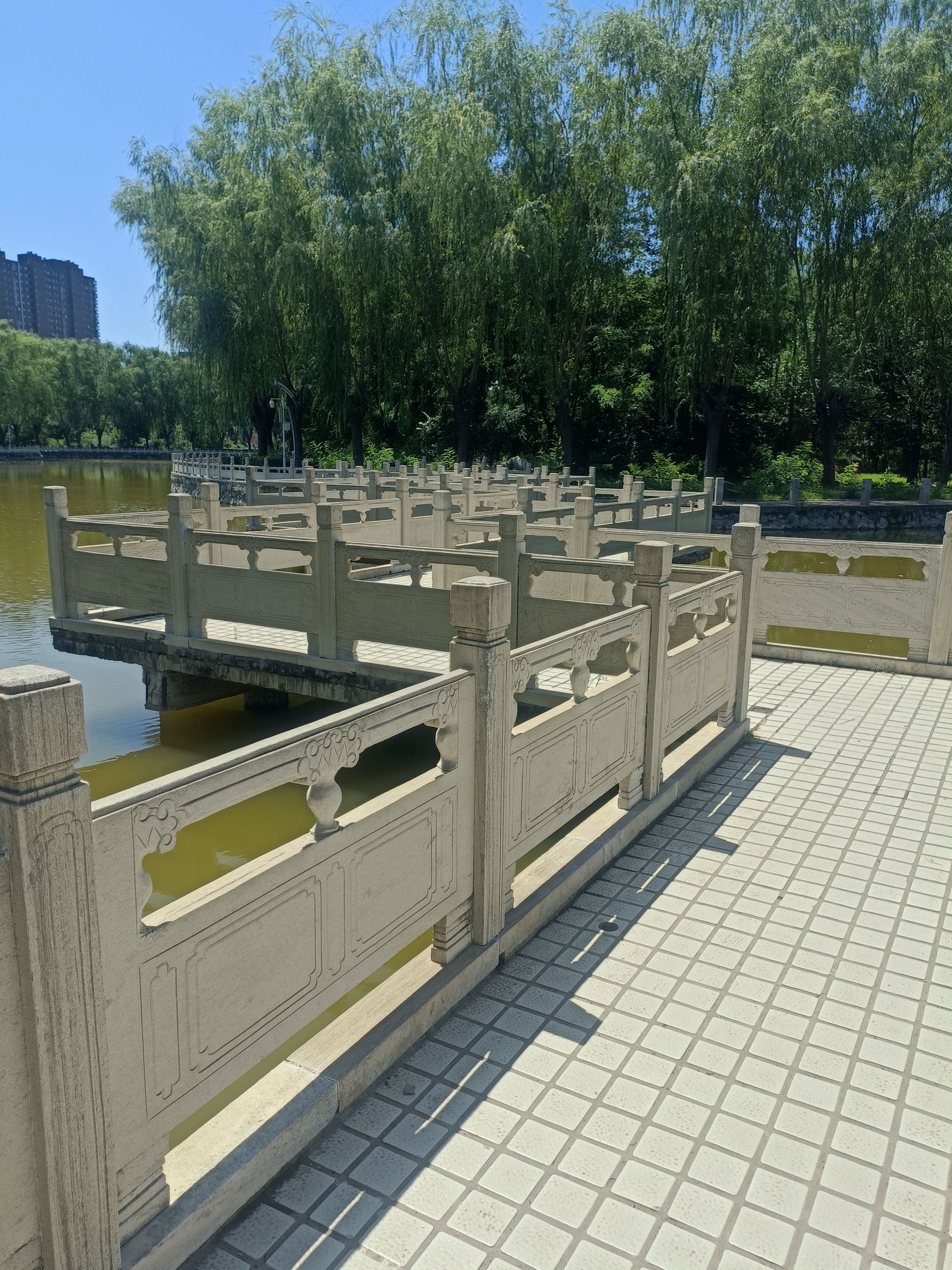 高碑店市植物公园旅行图片 3