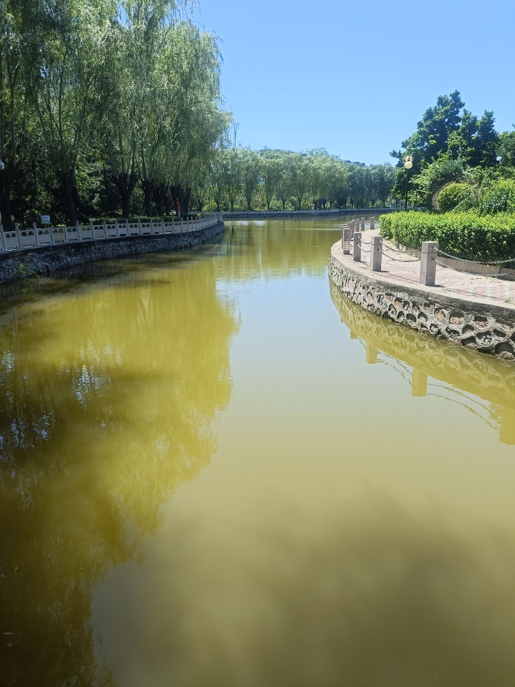 高碑店市植物公园旅行图片 2
