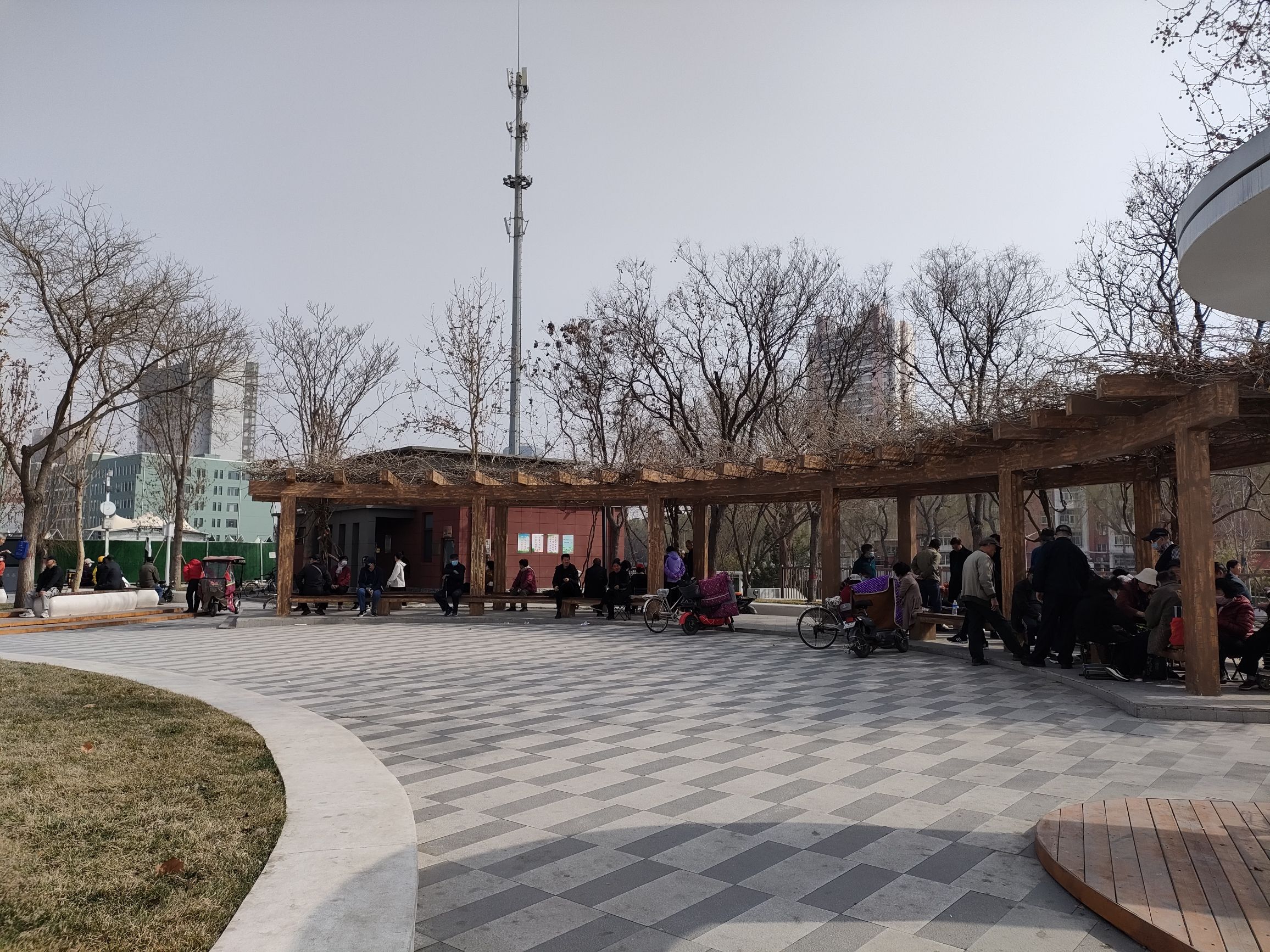 百花园广场旅行图片 2