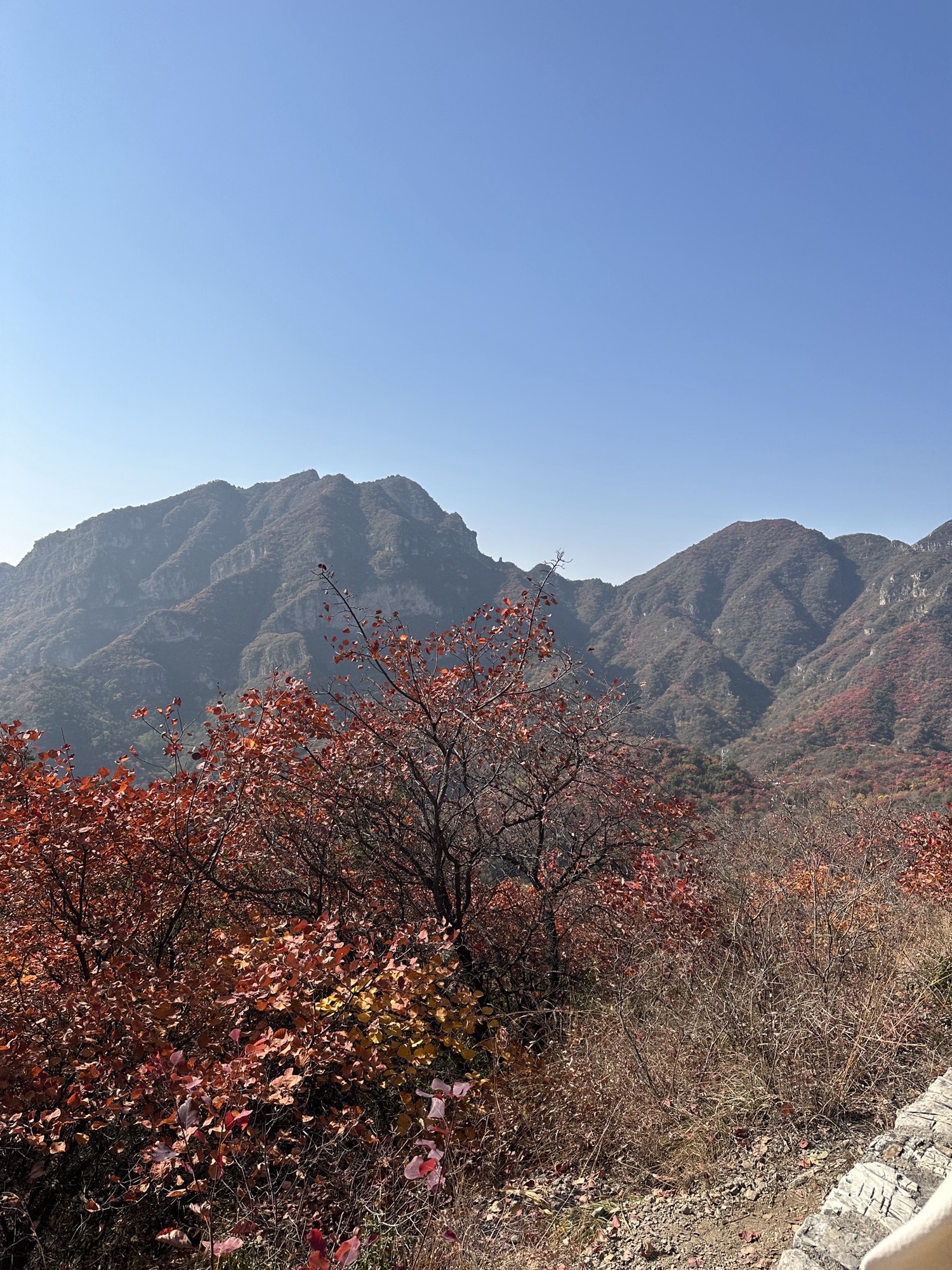 白银坨风景区旅行图片 3
