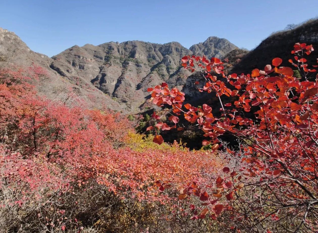 白银坨风景区旅行图片 2