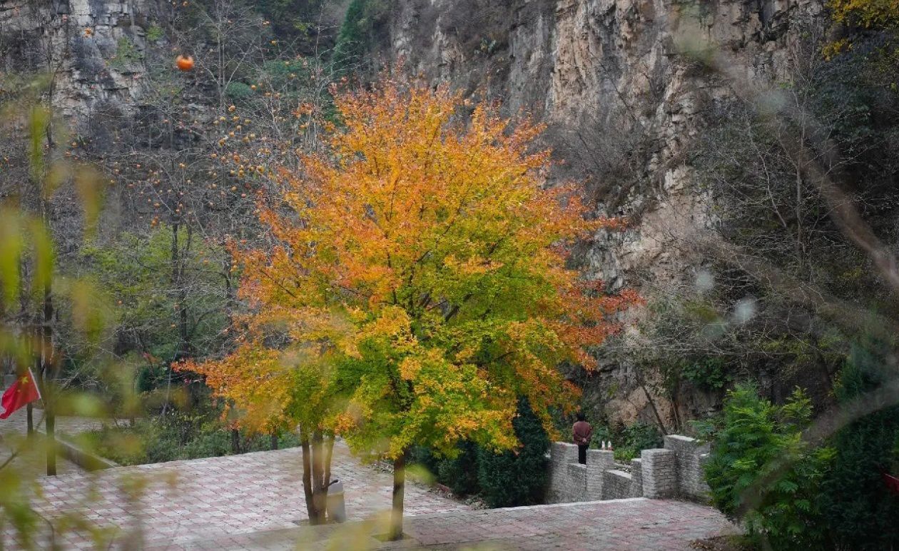 白银坨风景区旅行图片 1