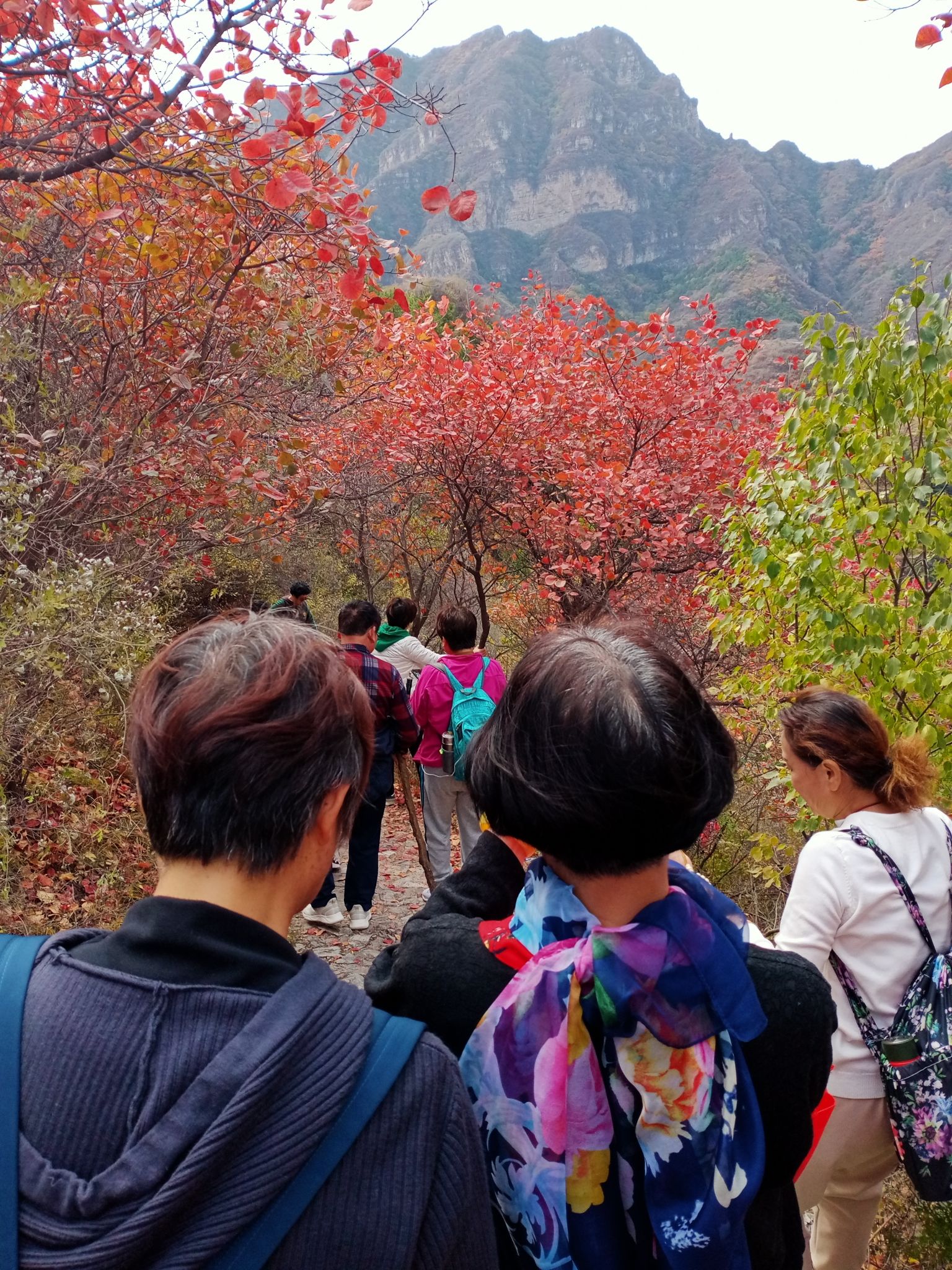 白银坨风景区旅行图片 3