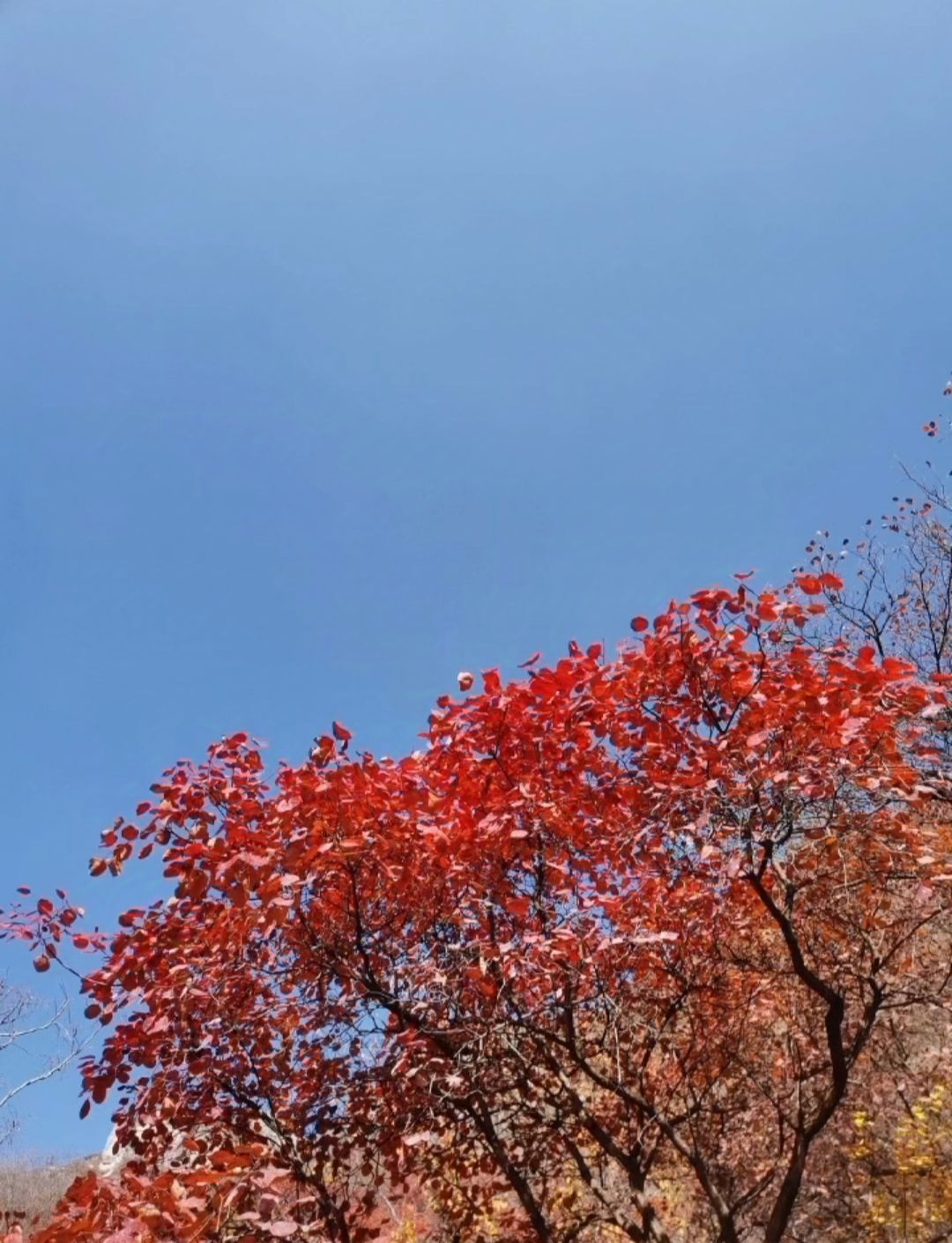 白银坨风景区旅行图片 2