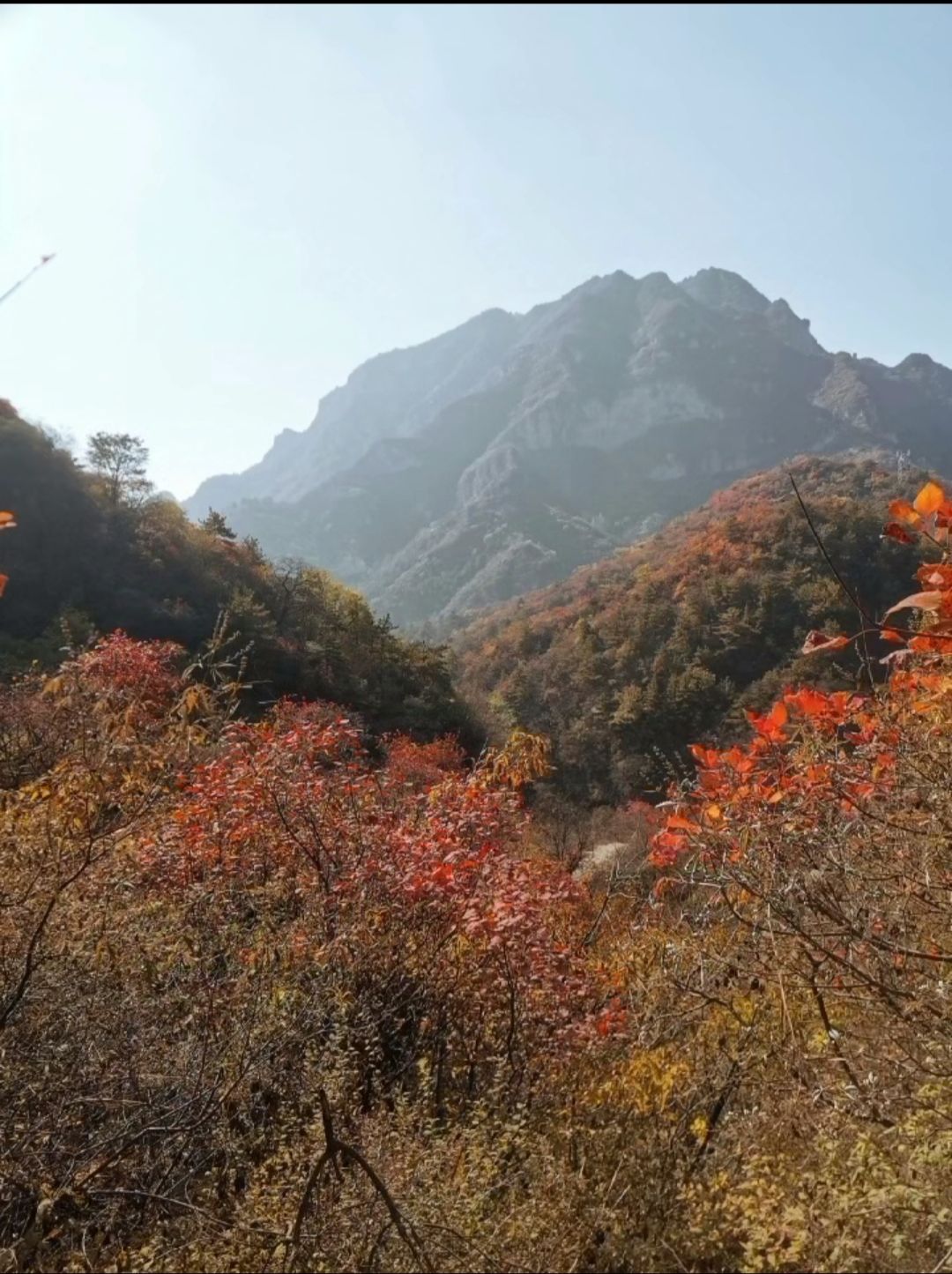 白银坨风景区旅行图片 3