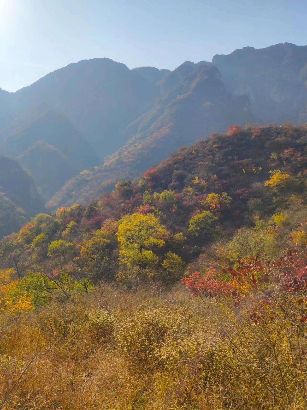 白银坨风景区旅行图片 1