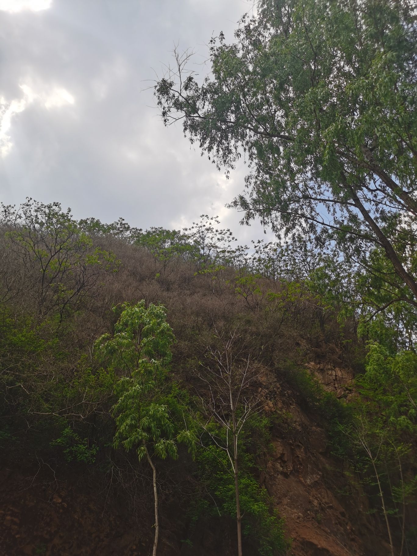虎山风景区旅行图片 2
