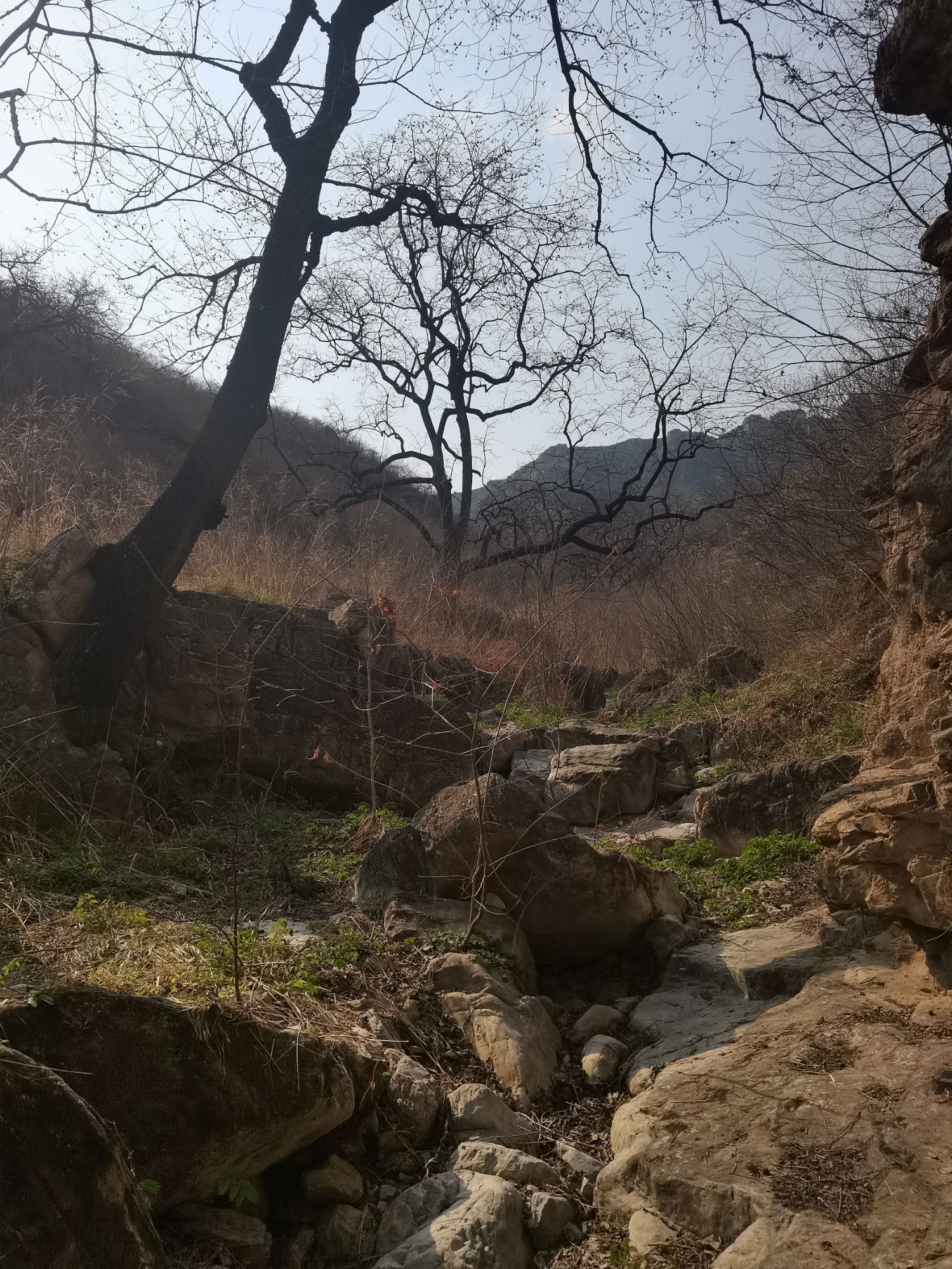 清虚山旅行图片 1