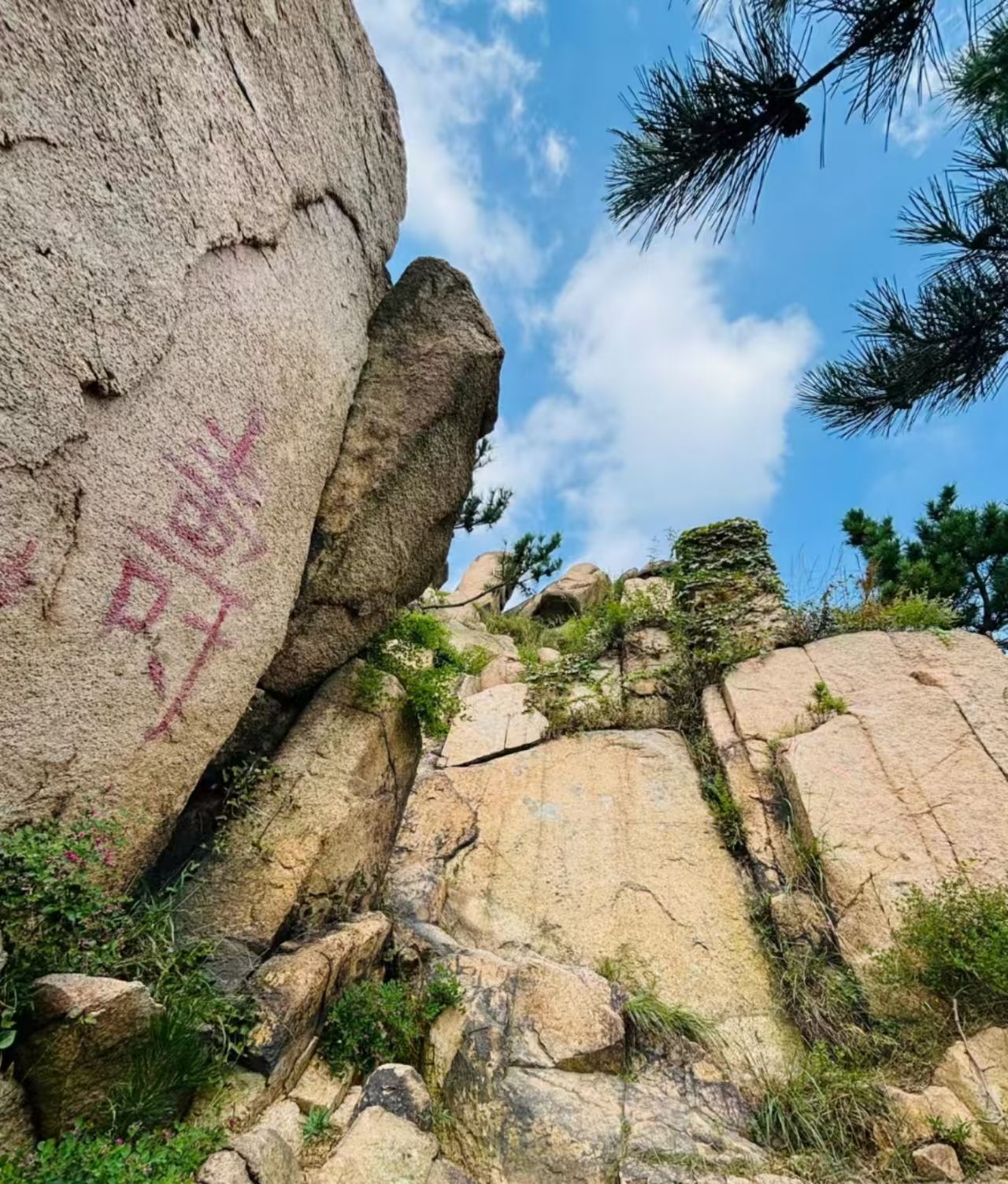 卧龙山生态旅游度假区旅行图片 1