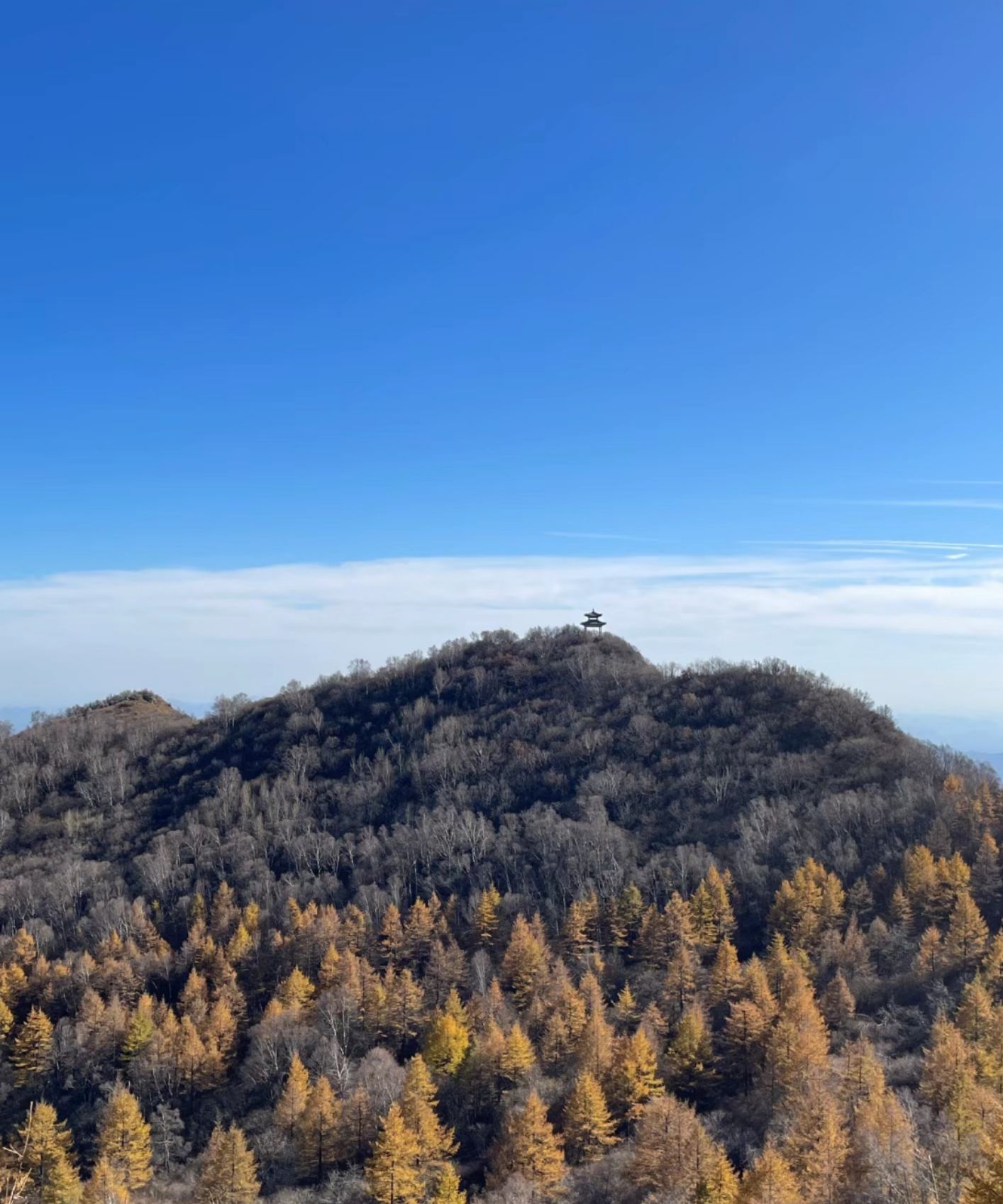卧龙山生态旅游度假区
