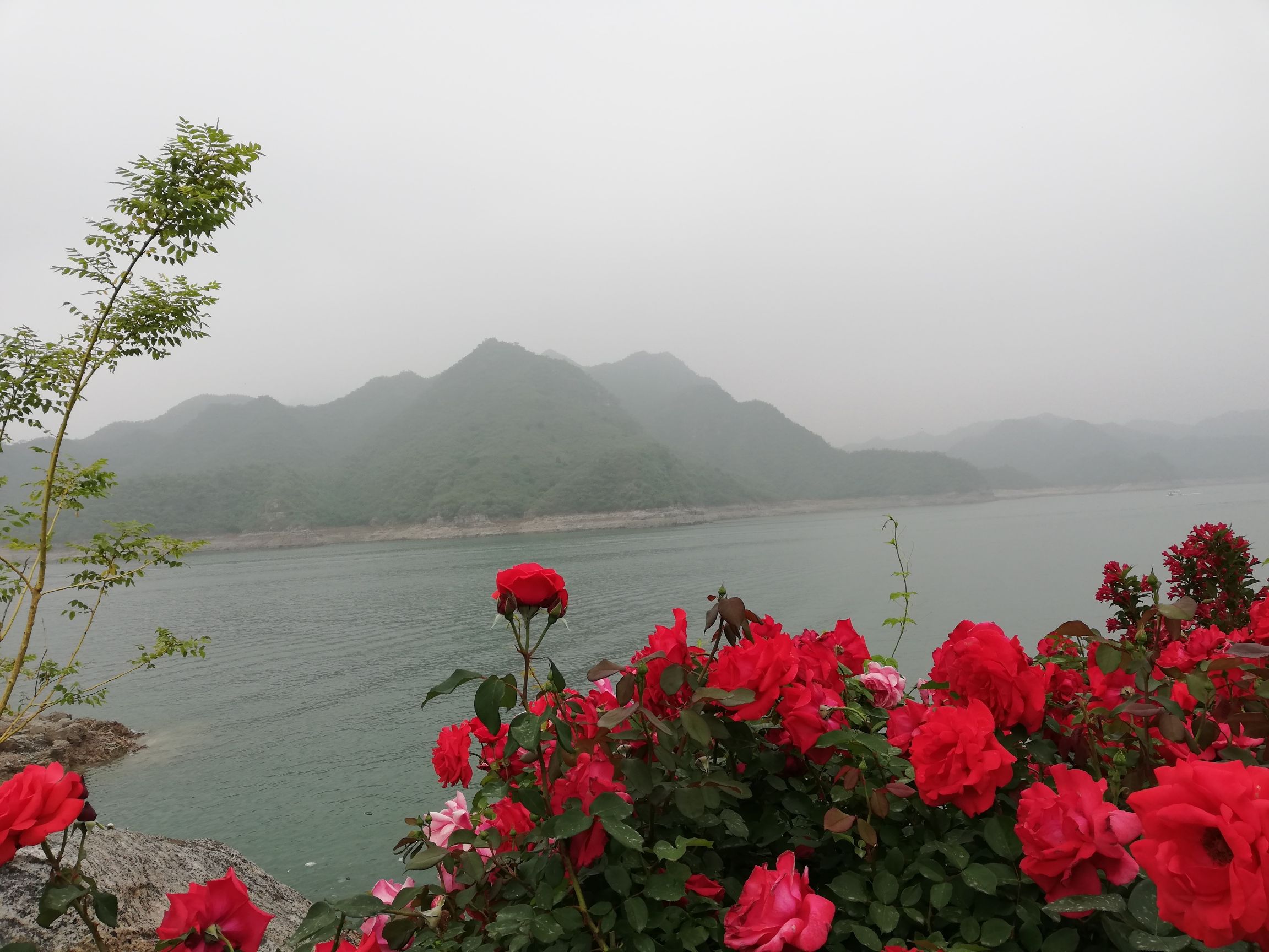易水湖景区旅行图片 3