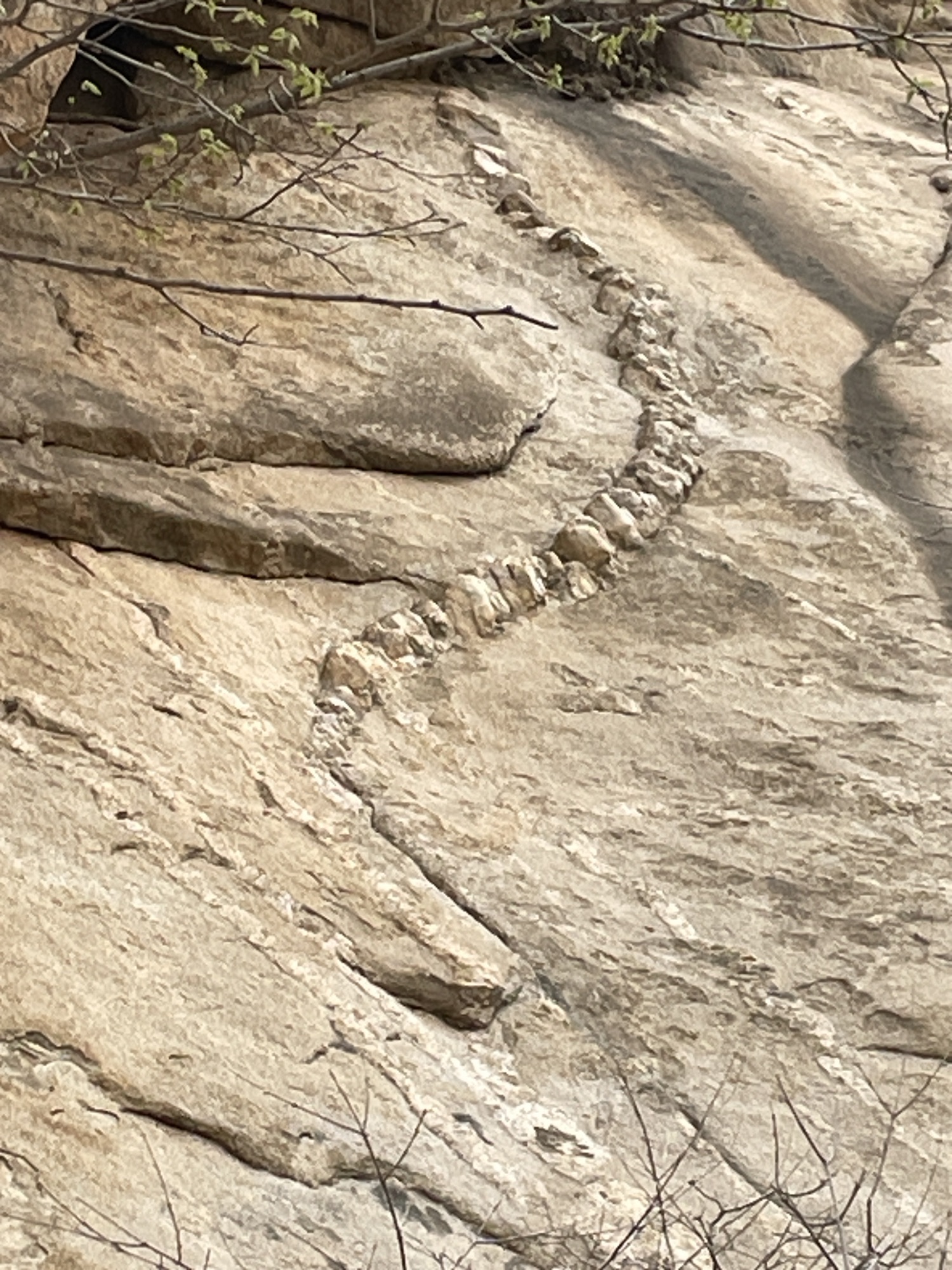 苍山石佛堂旅行图片 3