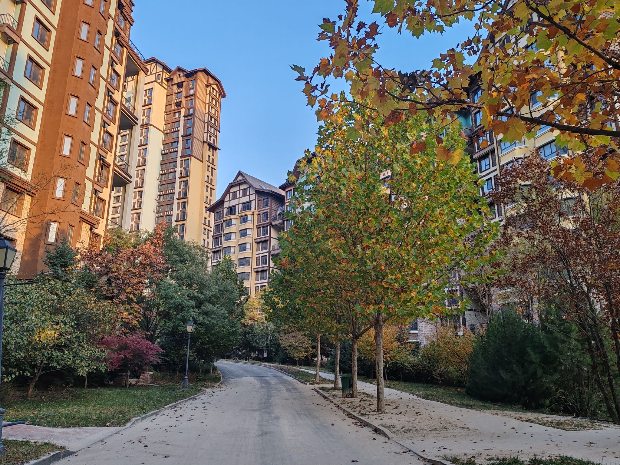 天鹅湖生态旅游风景区旅行图片 3