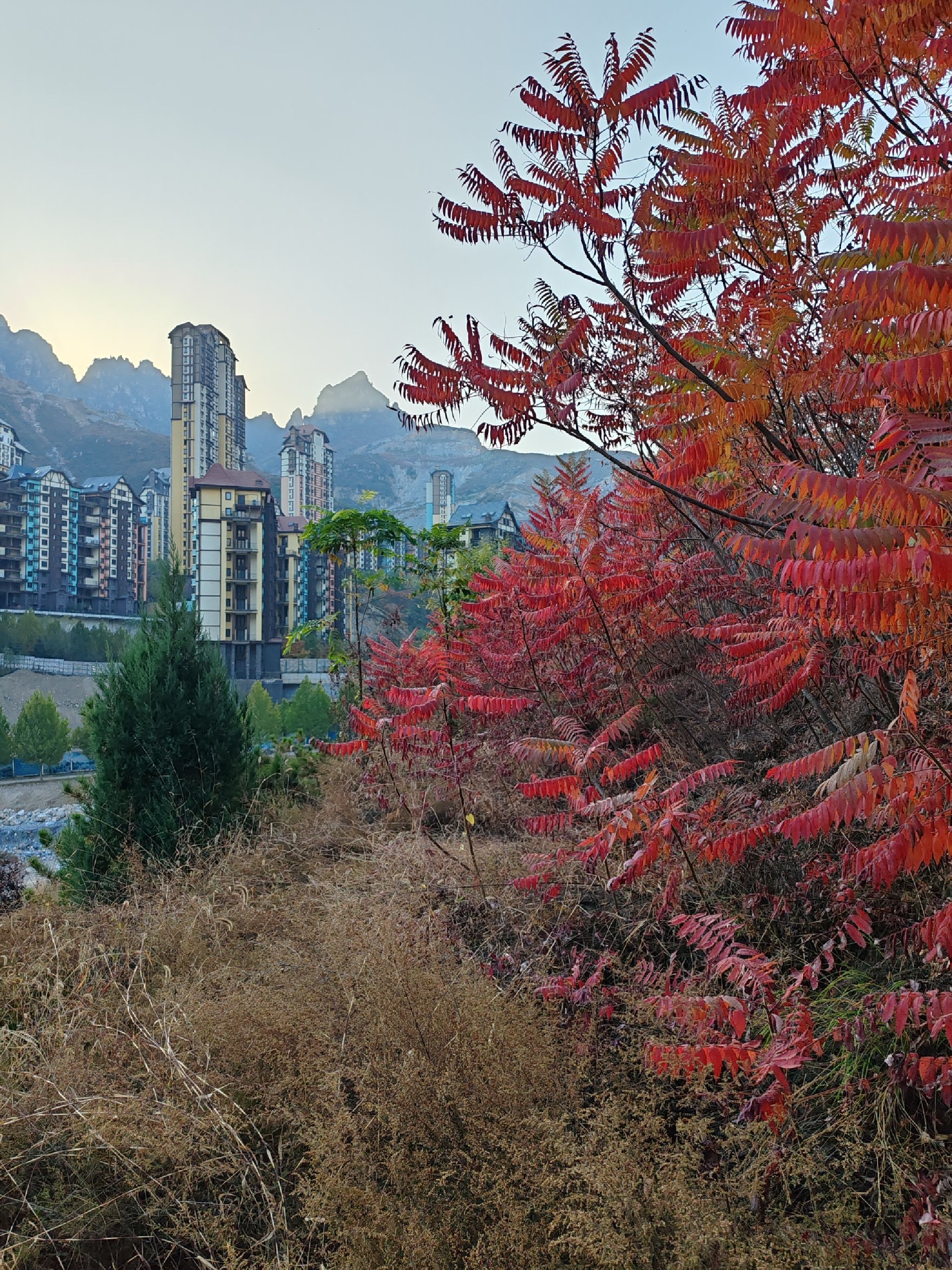 天鹅湖生态旅游风景区旅行图片 1