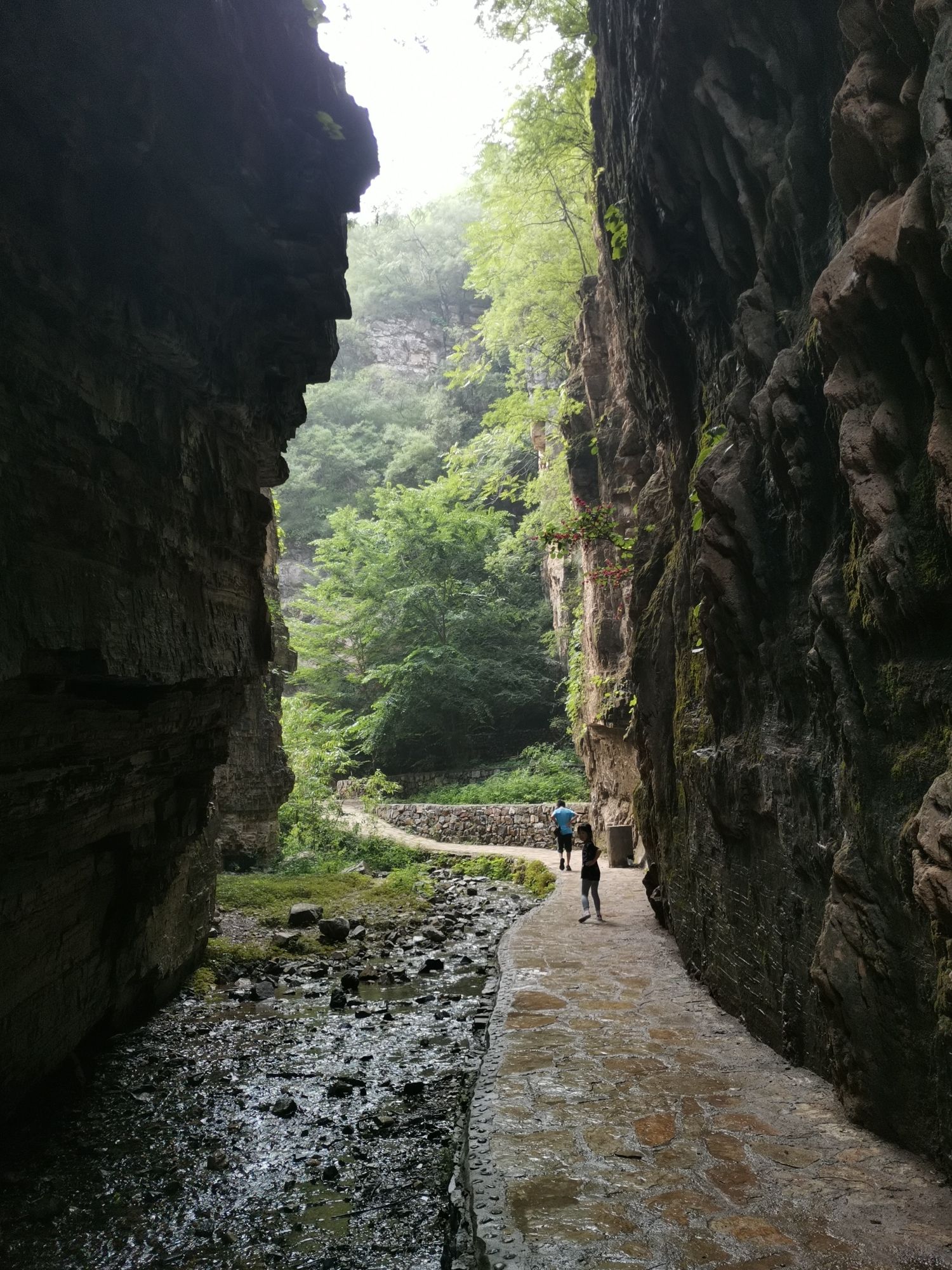 全胜峡旅行图片 3